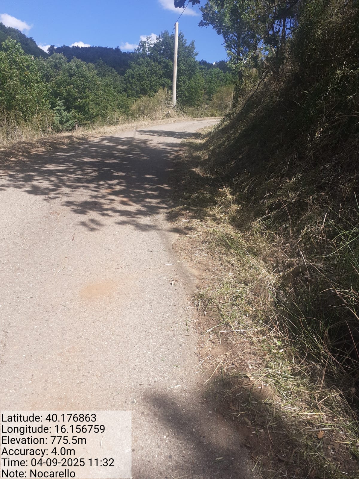 Galleria Fotografica Immagine