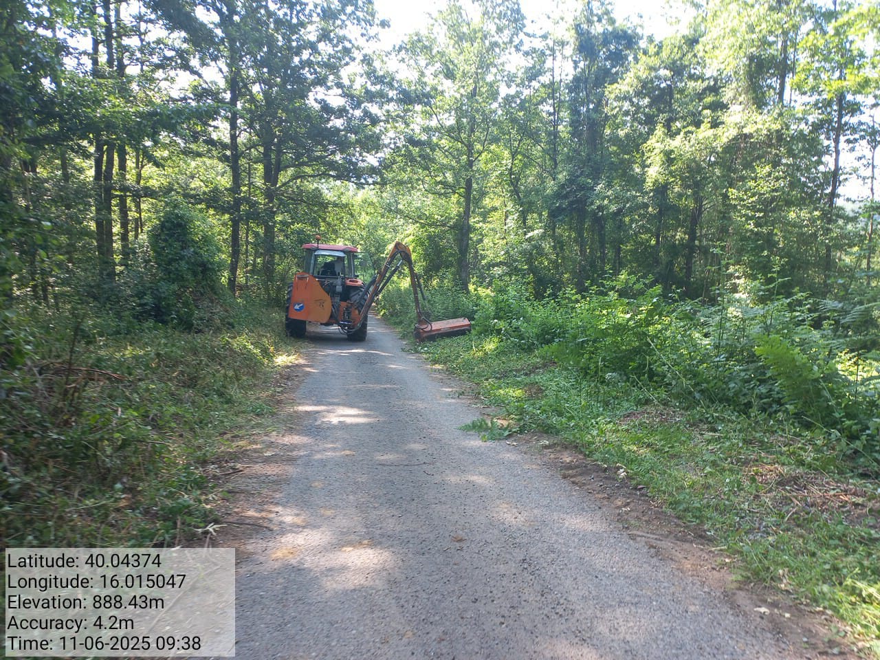 Galleria Fotografica Immagine