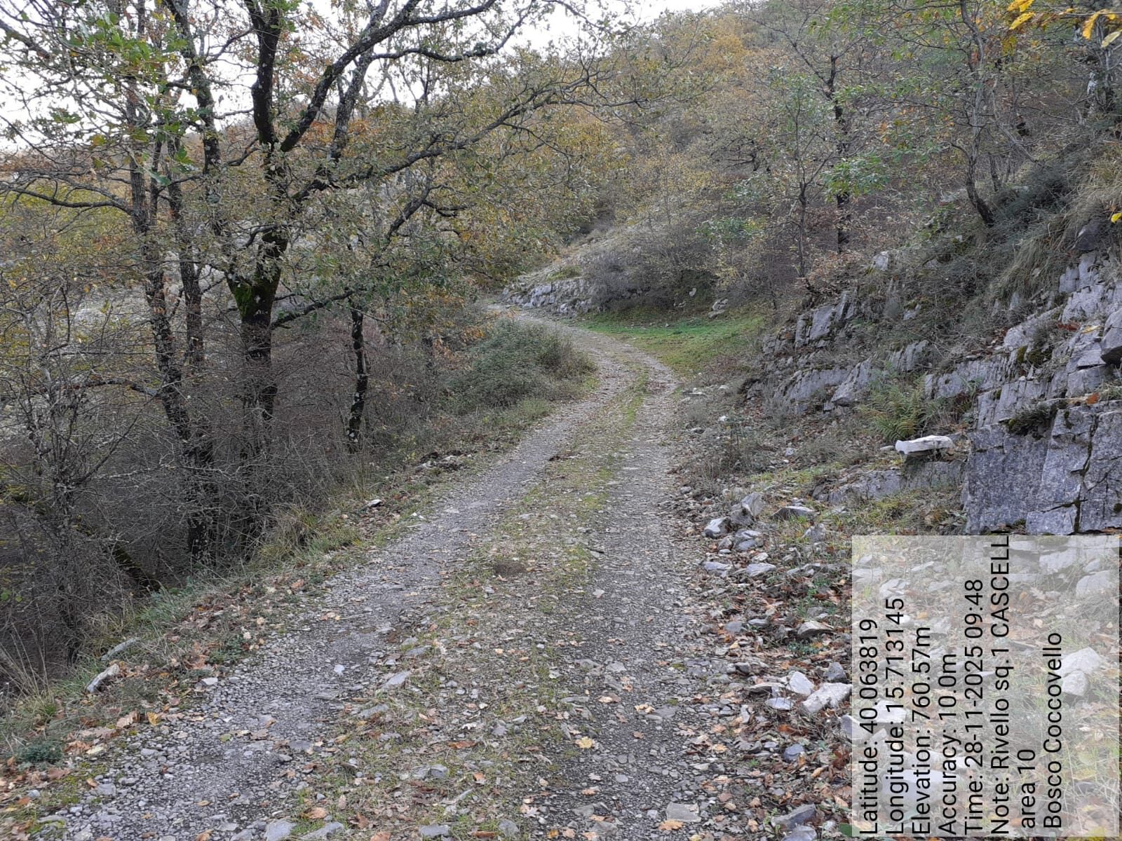 Galleria Fotografica Immagine