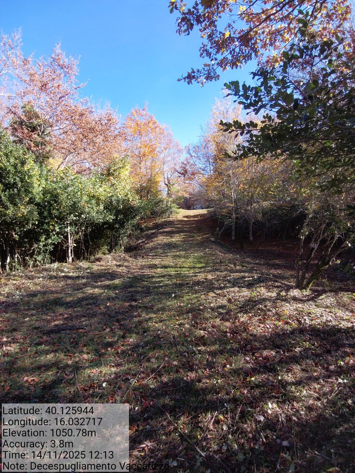 Galleria Fotografica Immagine