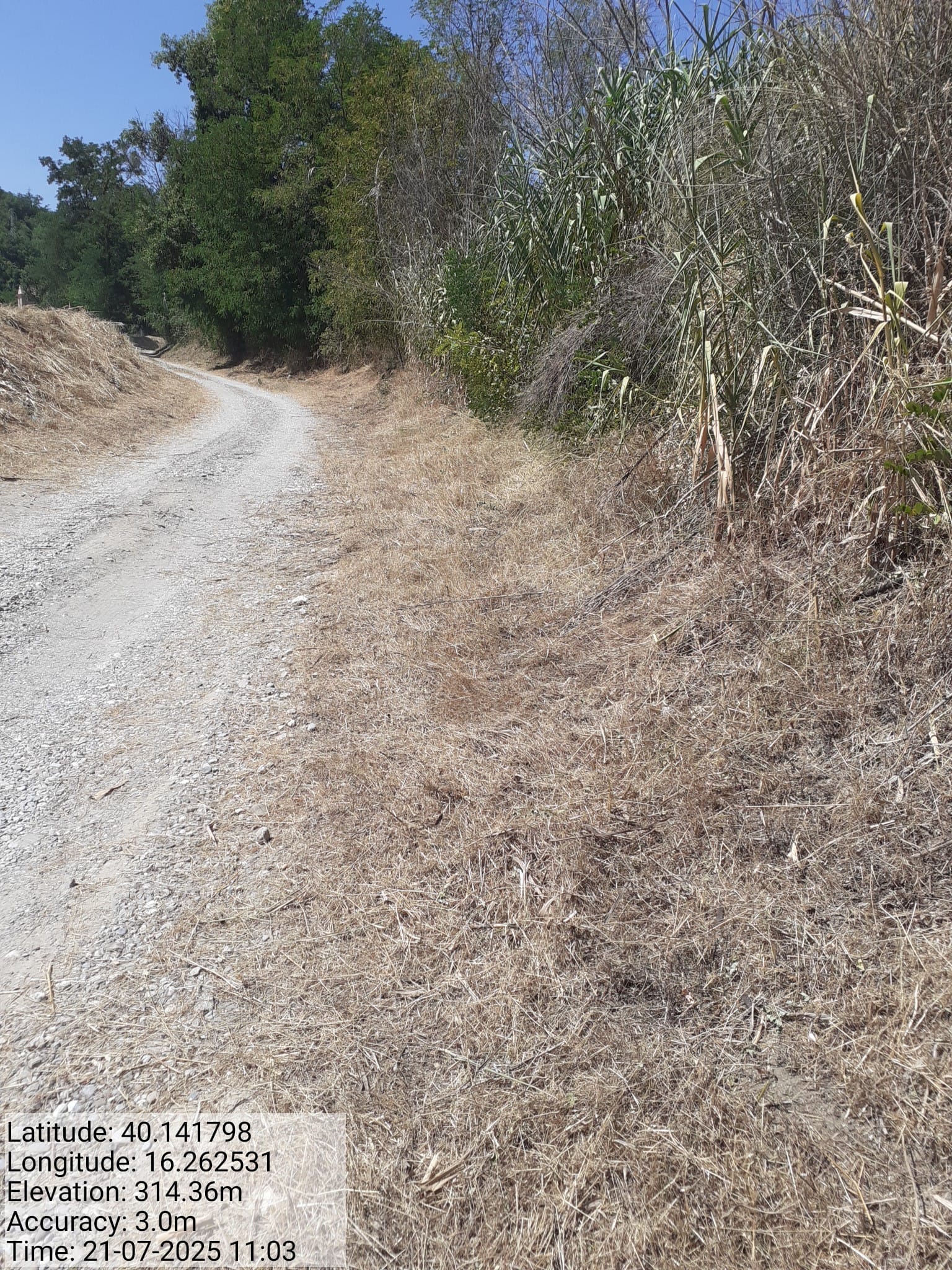 Galleria Fotografica Immagine