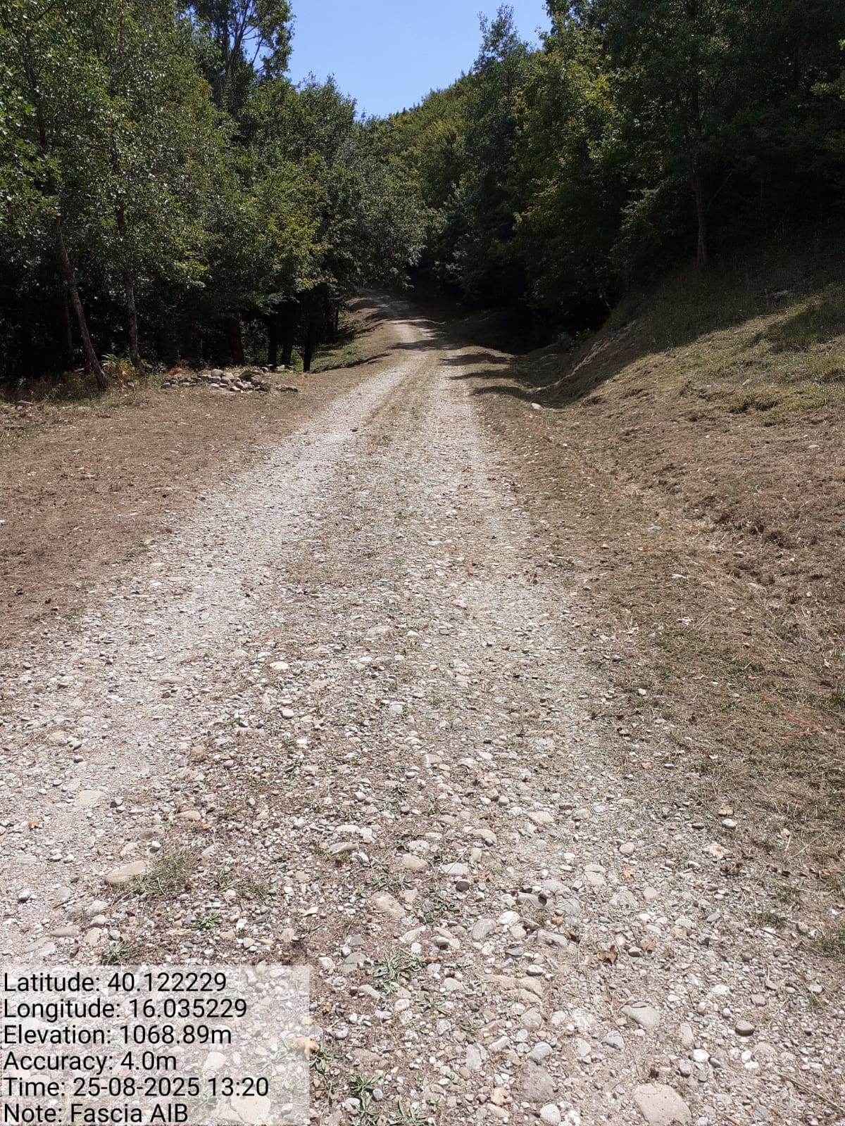 Galleria Fotografica Immagine