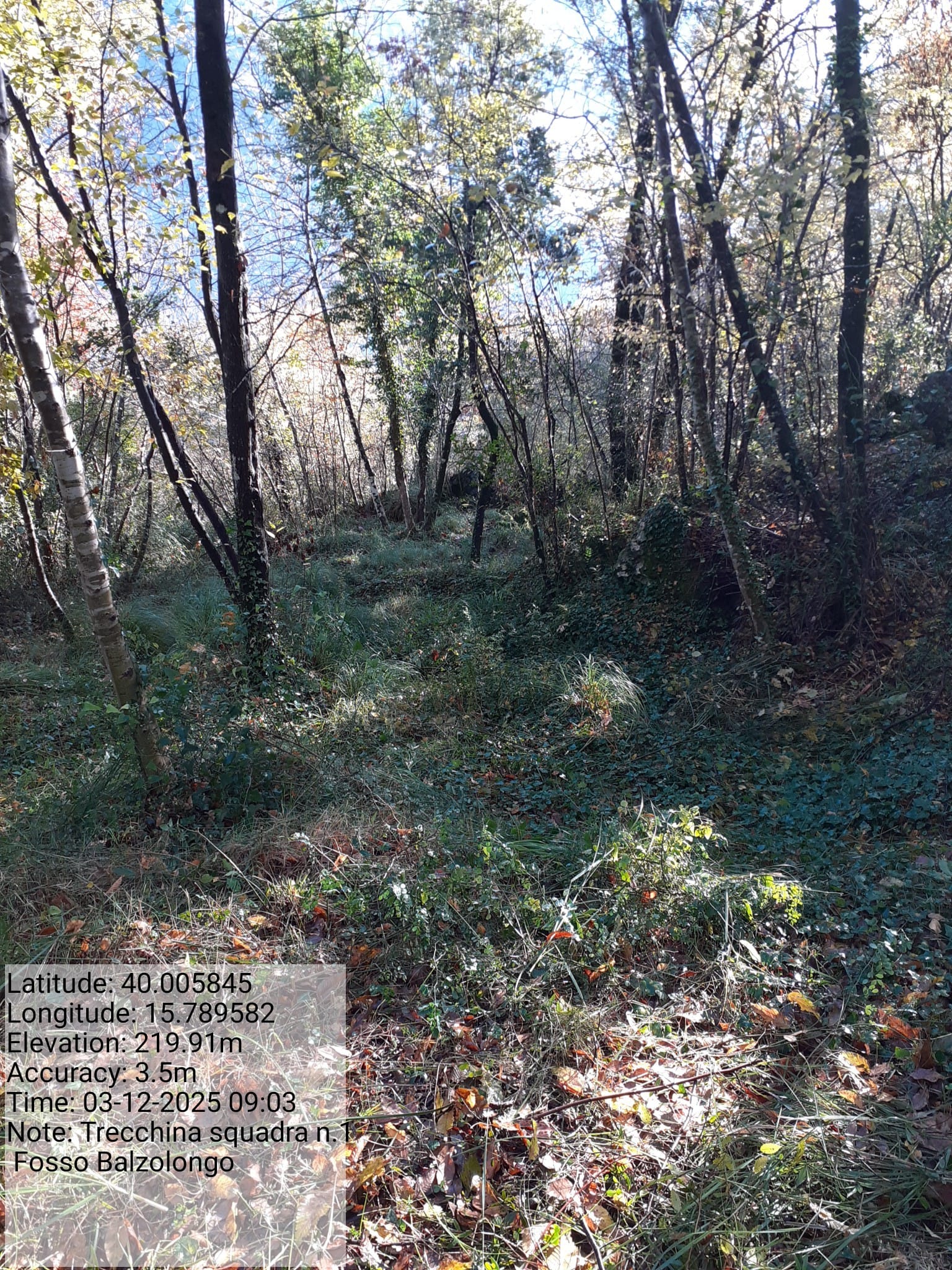 Galleria Fotografica Immagine