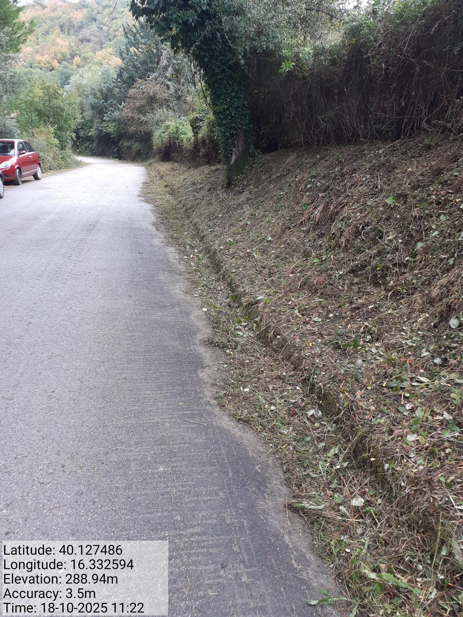 Galleria Fotografica Immagine