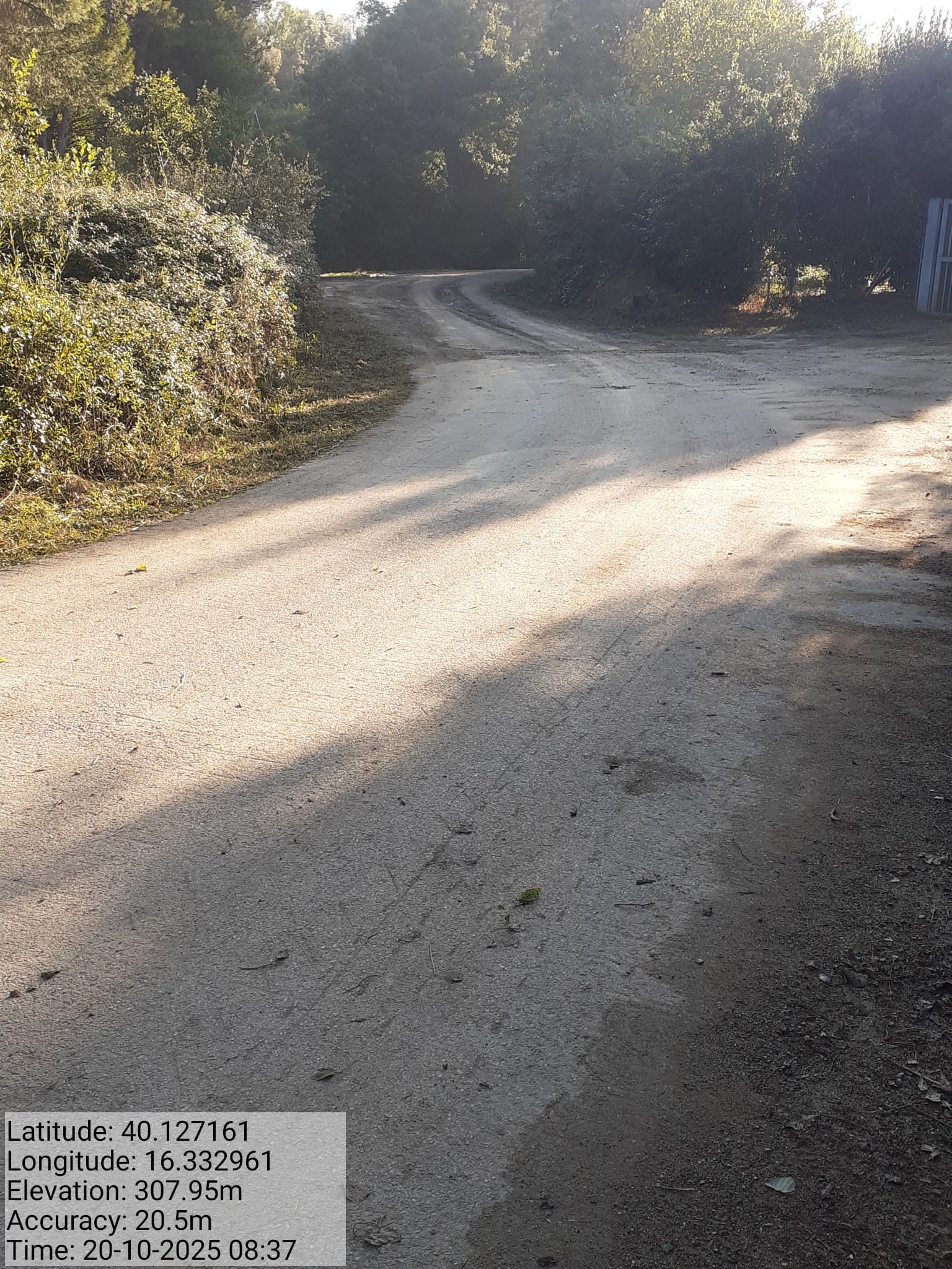 Galleria Fotografica Immagine