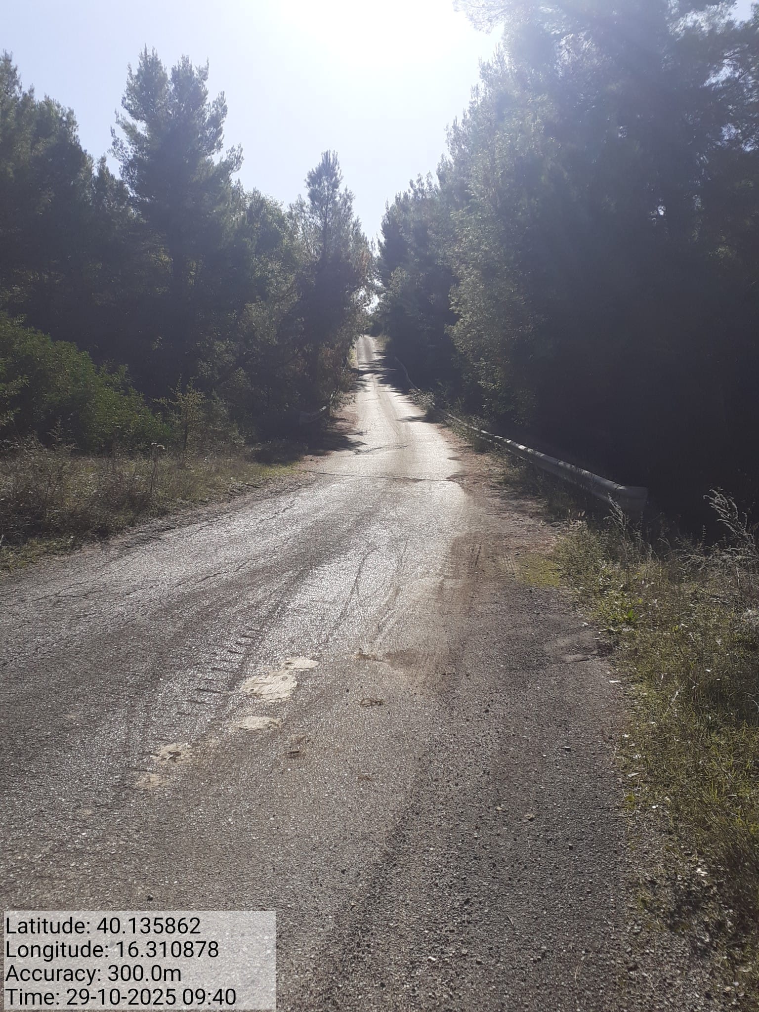 Galleria Fotografica Immagine