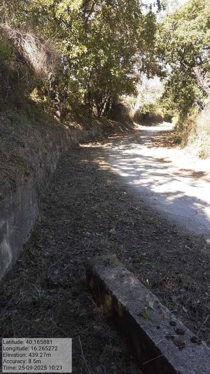 Galleria Fotografica Immagine