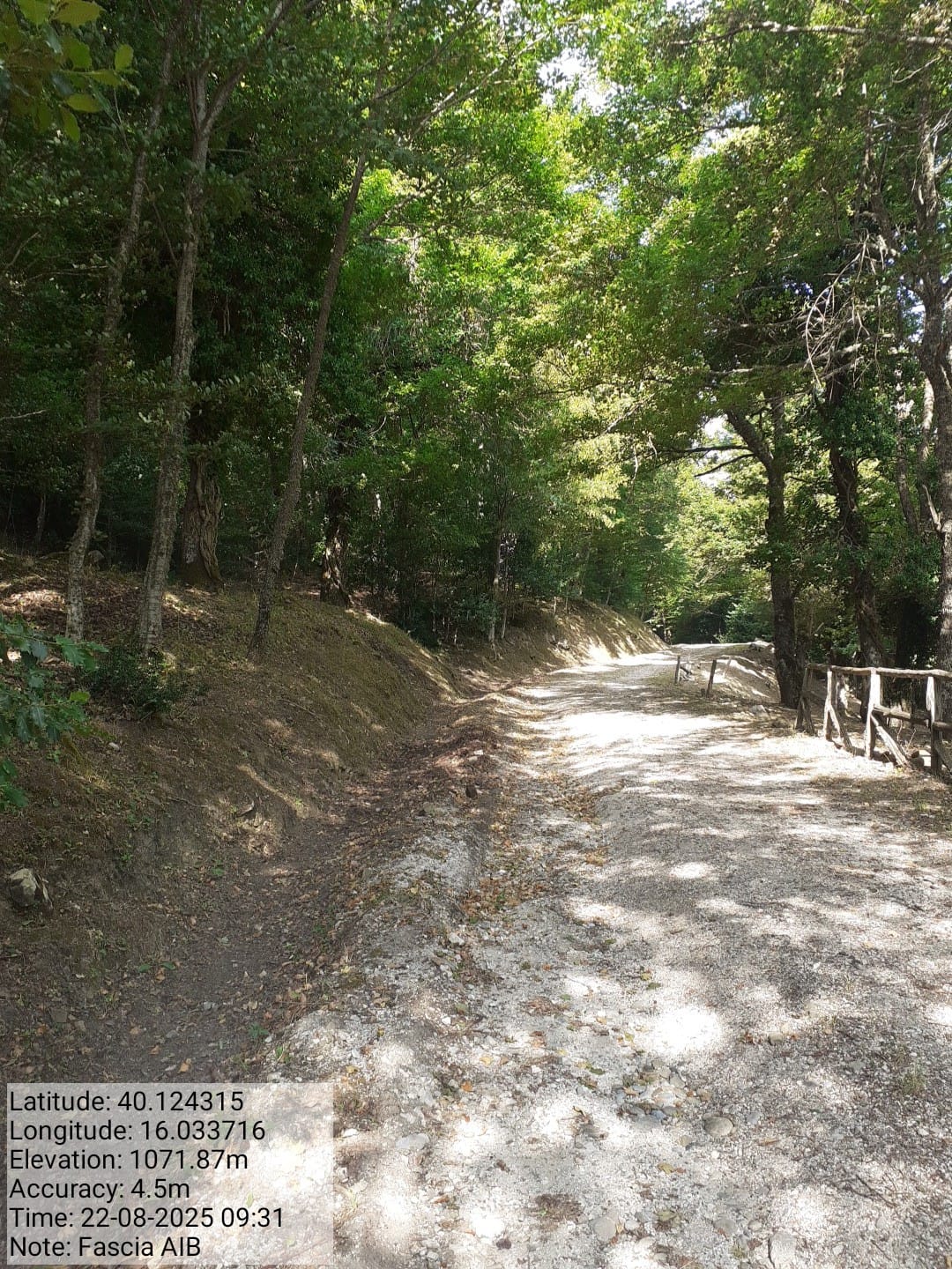 Galleria Fotografica Immagine