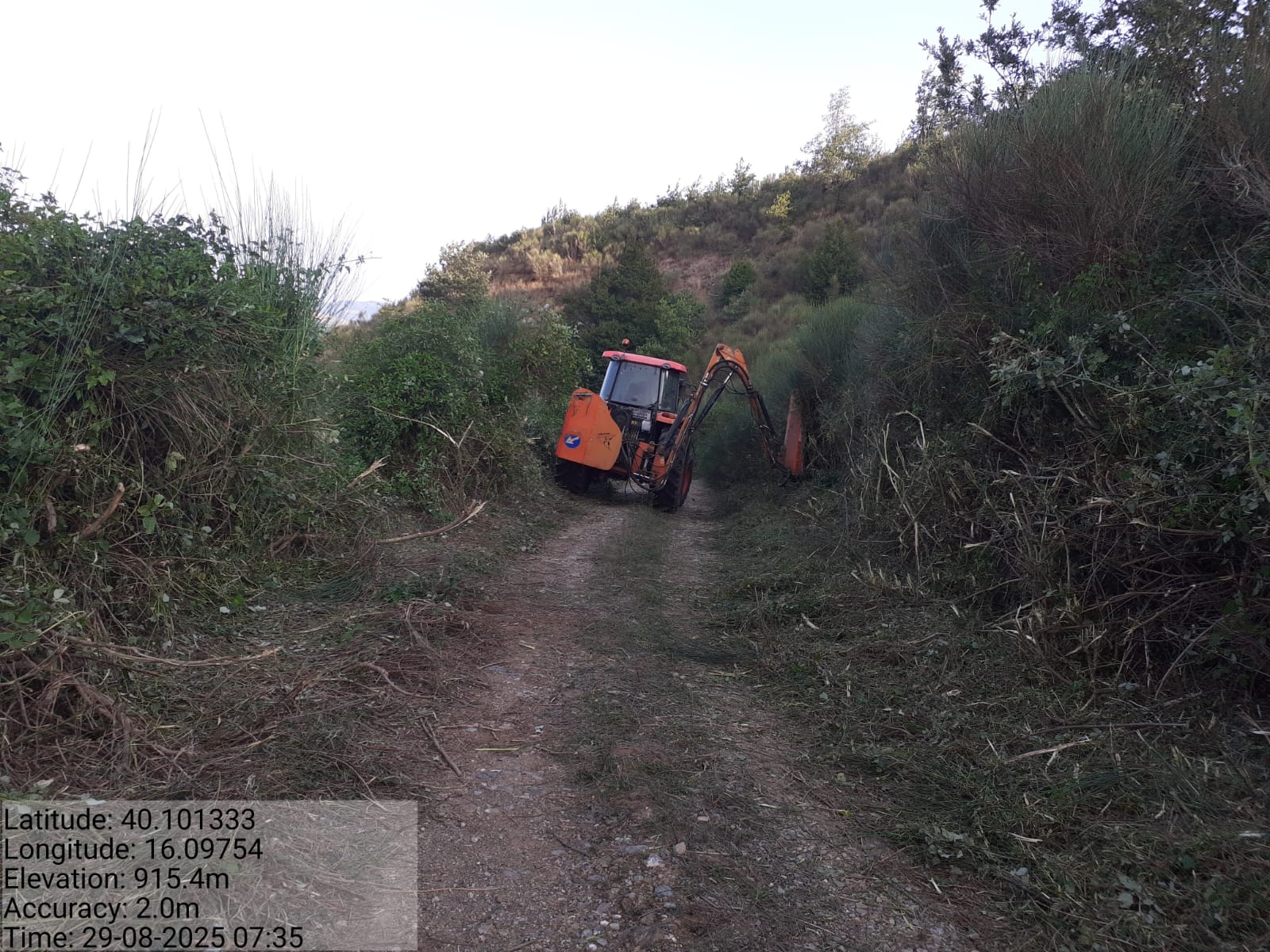 Galleria Fotografica Immagine