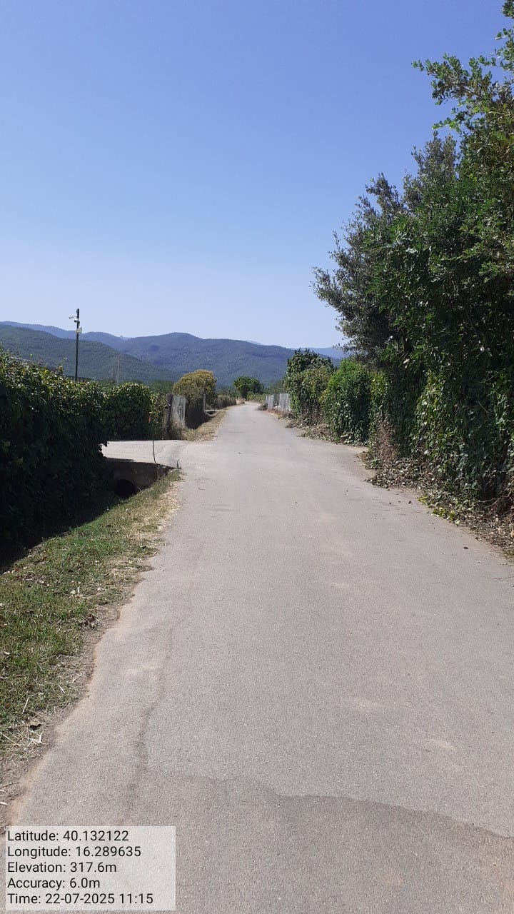 Galleria Fotografica Immagine