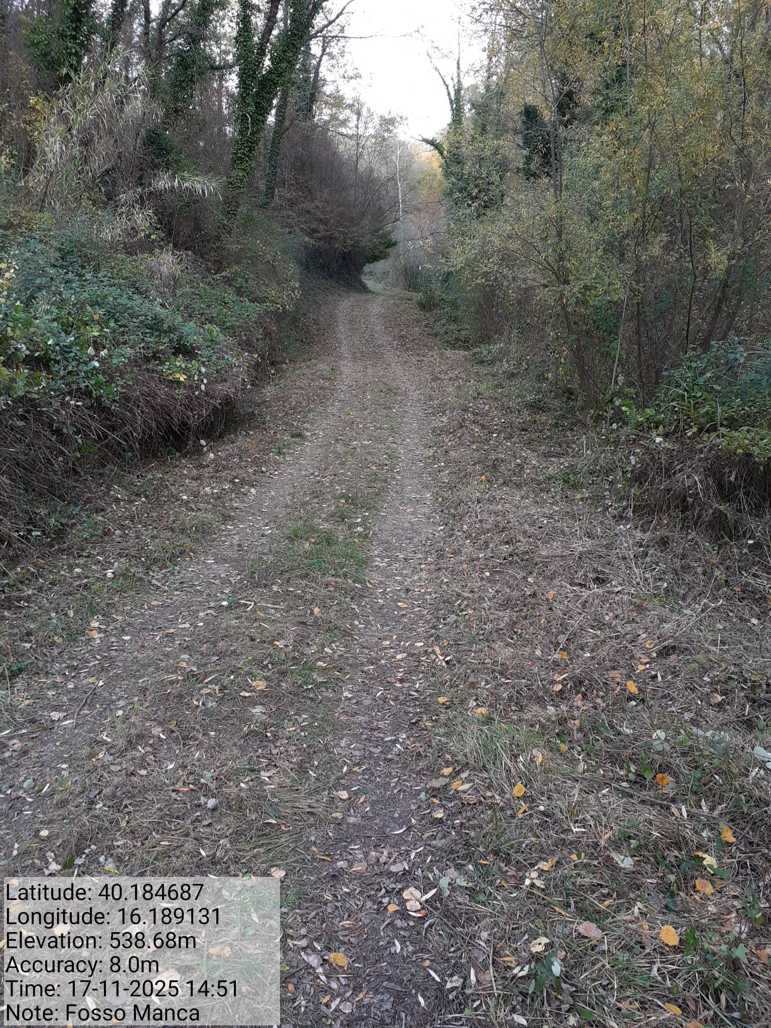 Galleria Fotografica Immagine