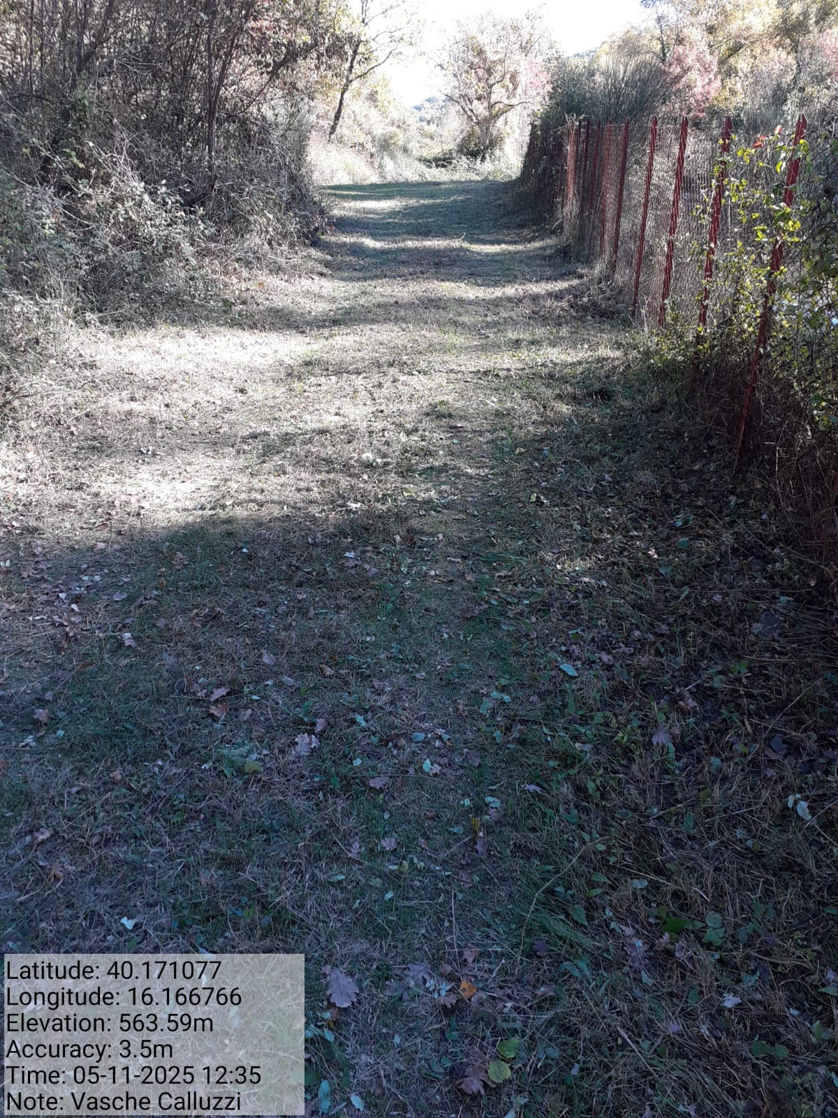 Galleria Fotografica Immagine