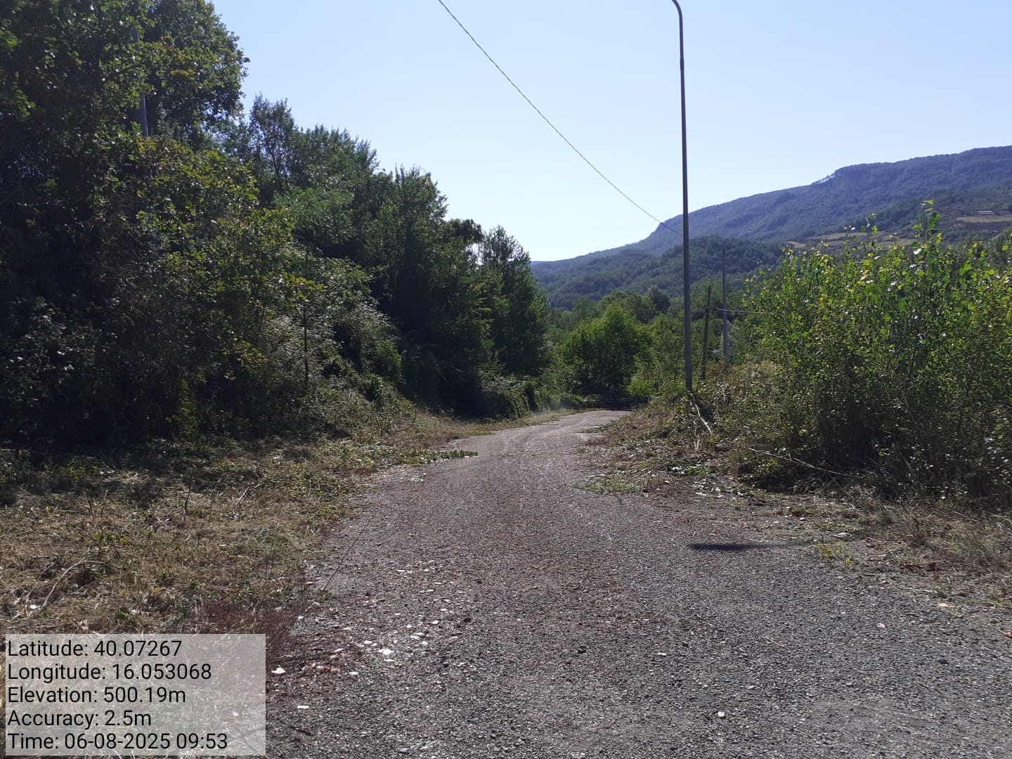 Galleria Fotografica Immagine