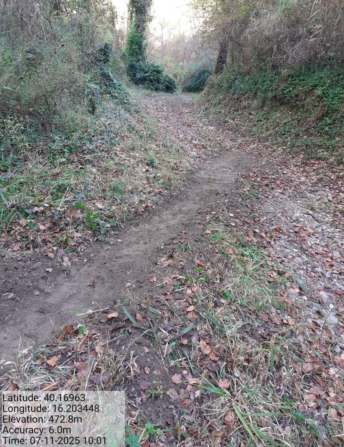 Galleria Fotografica Immagine