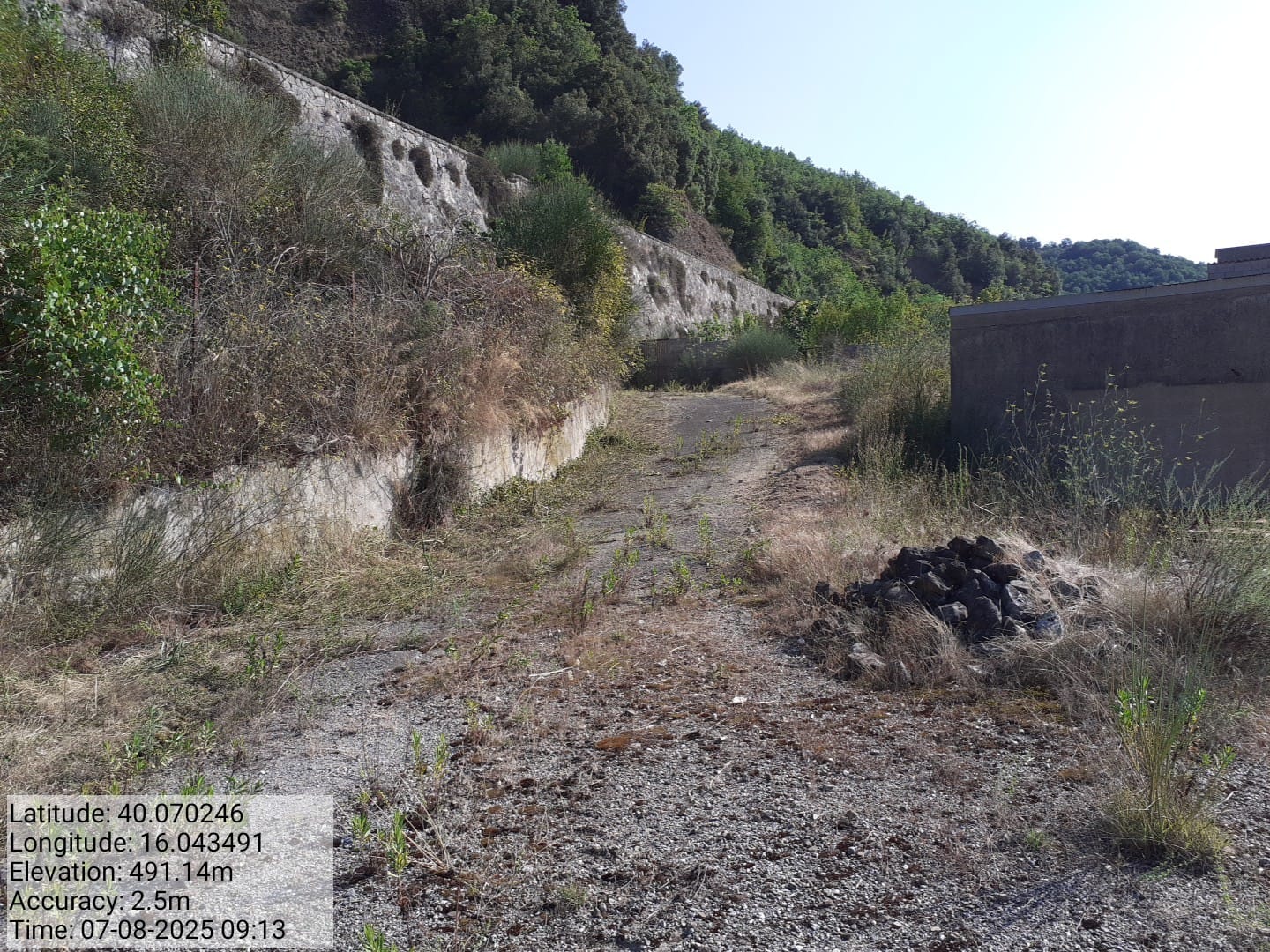 Galleria Fotografica Immagine