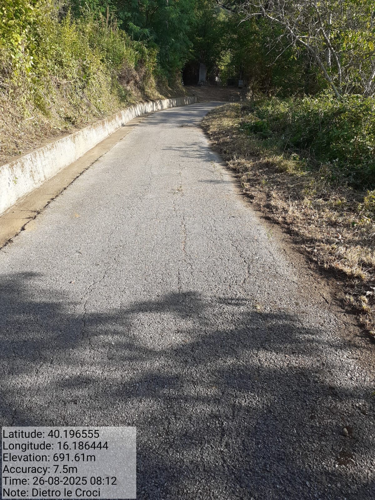 Galleria Fotografica Immagine