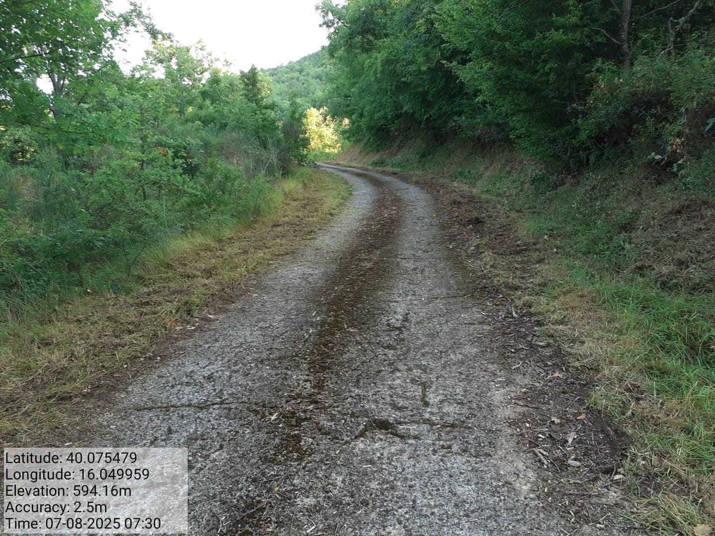 Galleria Fotografica Immagine