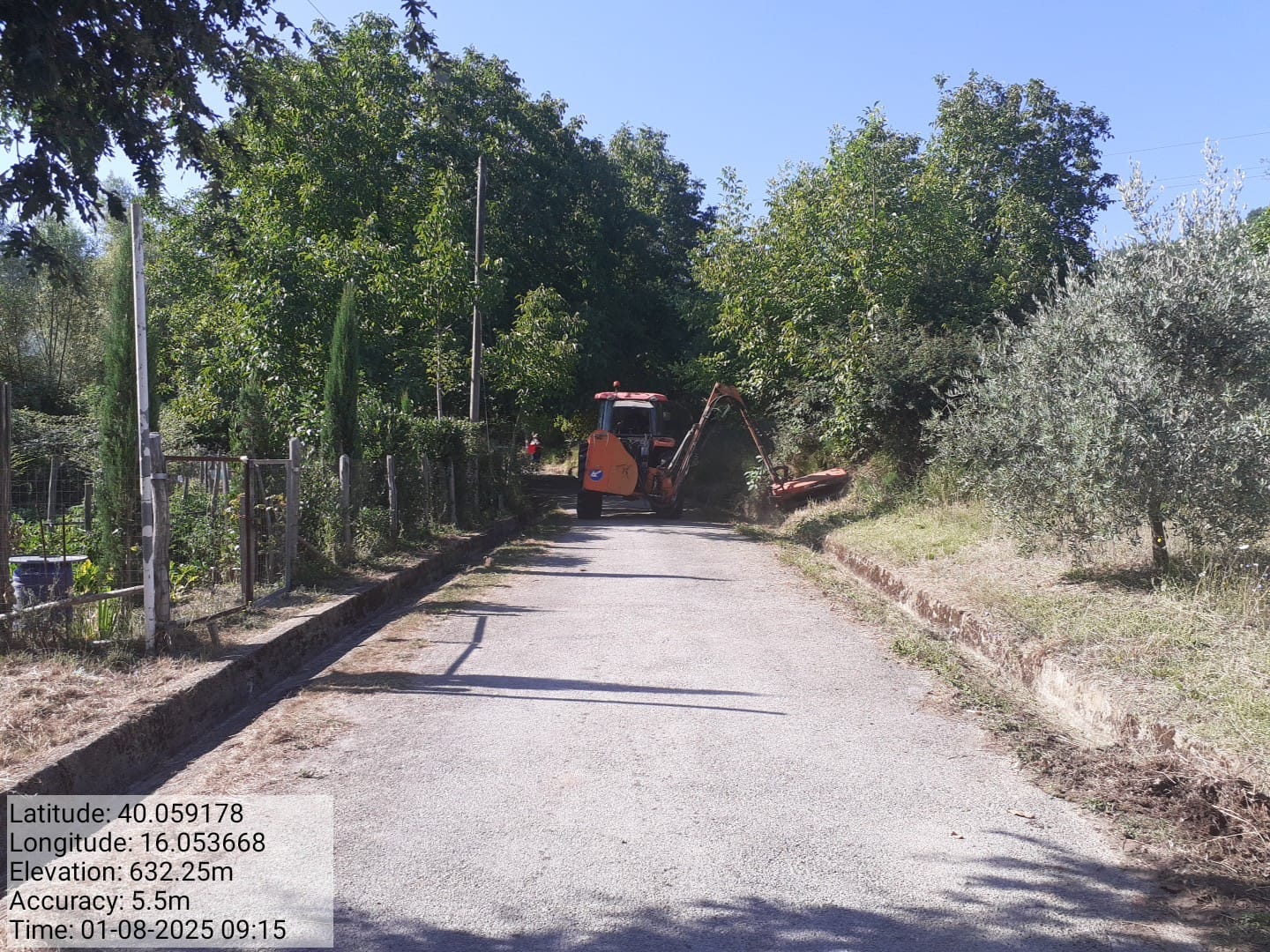 Galleria Fotografica Immagine