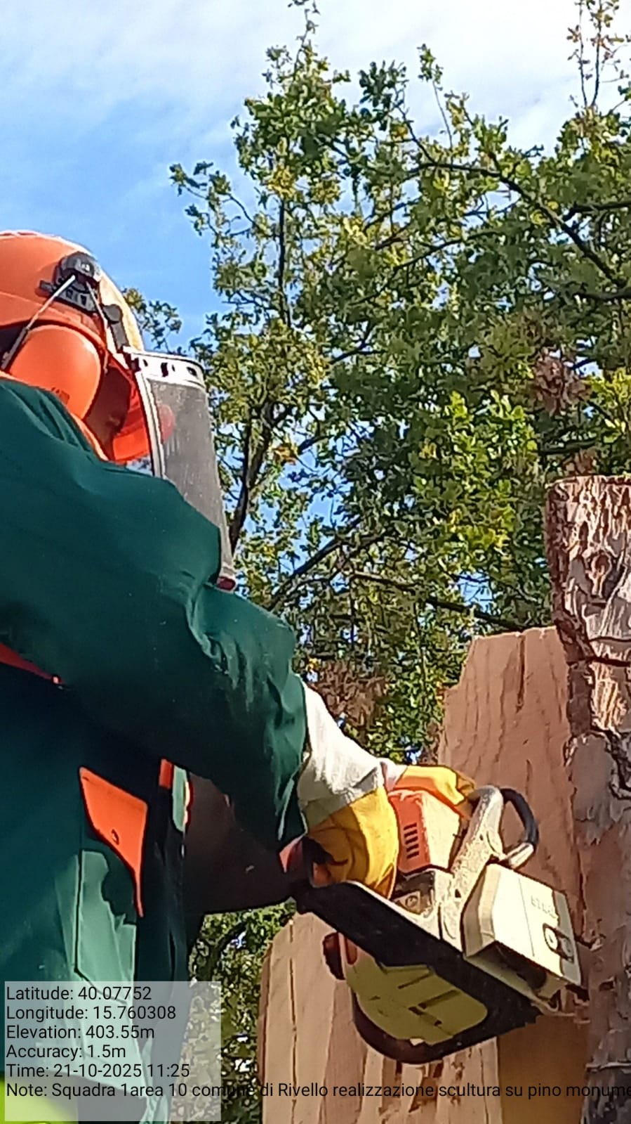 Galleria Fotografica Immagine