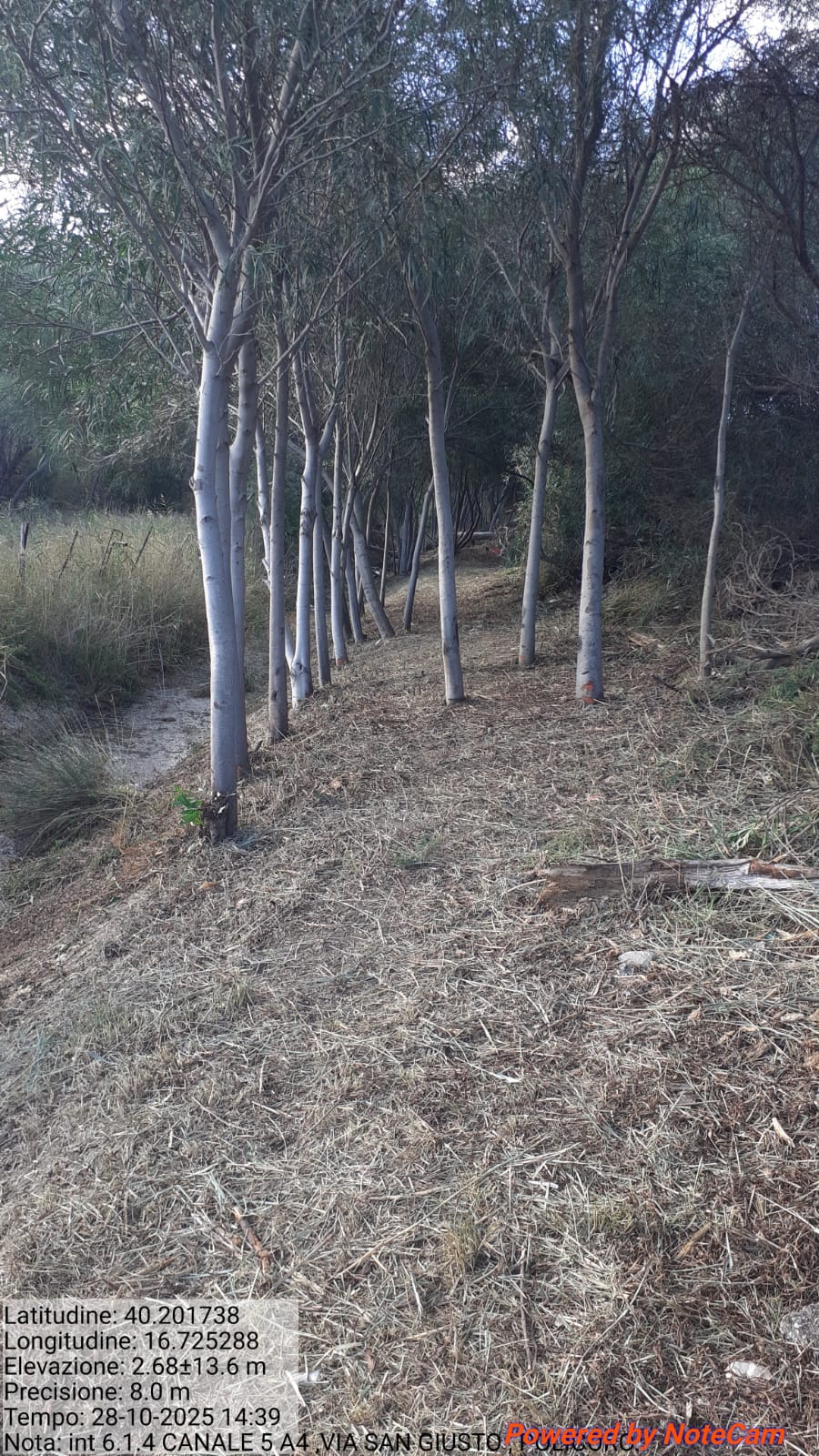 Galleria Fotografica Immagine