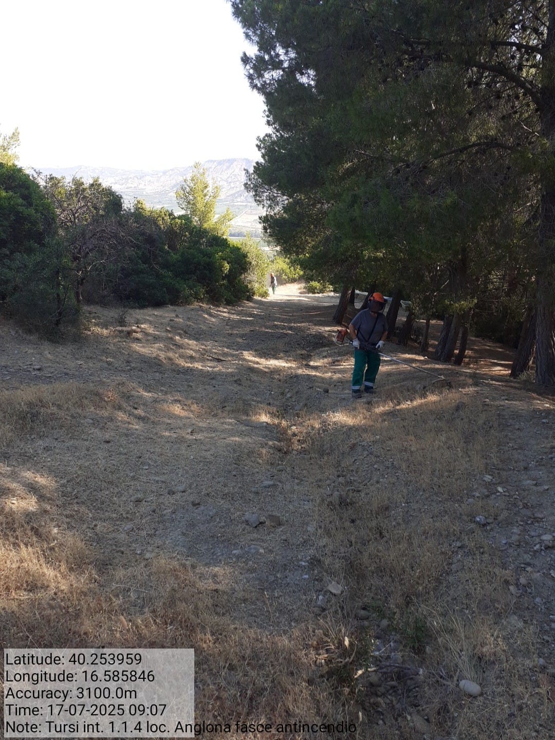 Galleria Fotografica Immagine