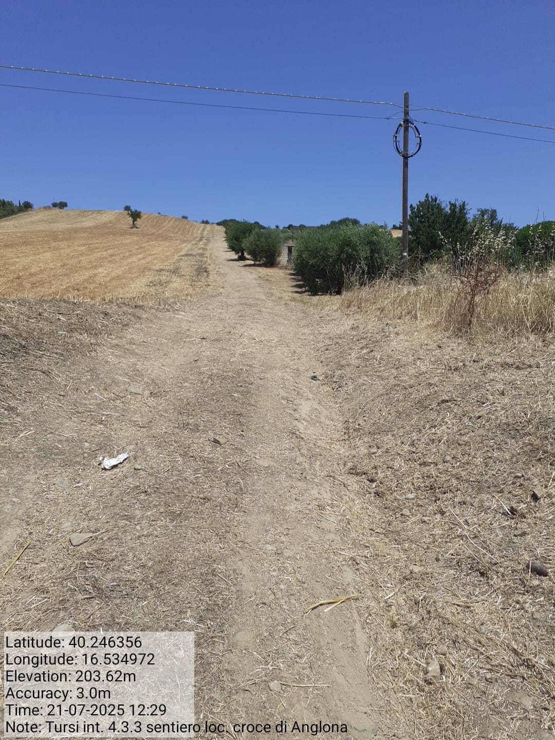 Galleria Fotografica Immagine