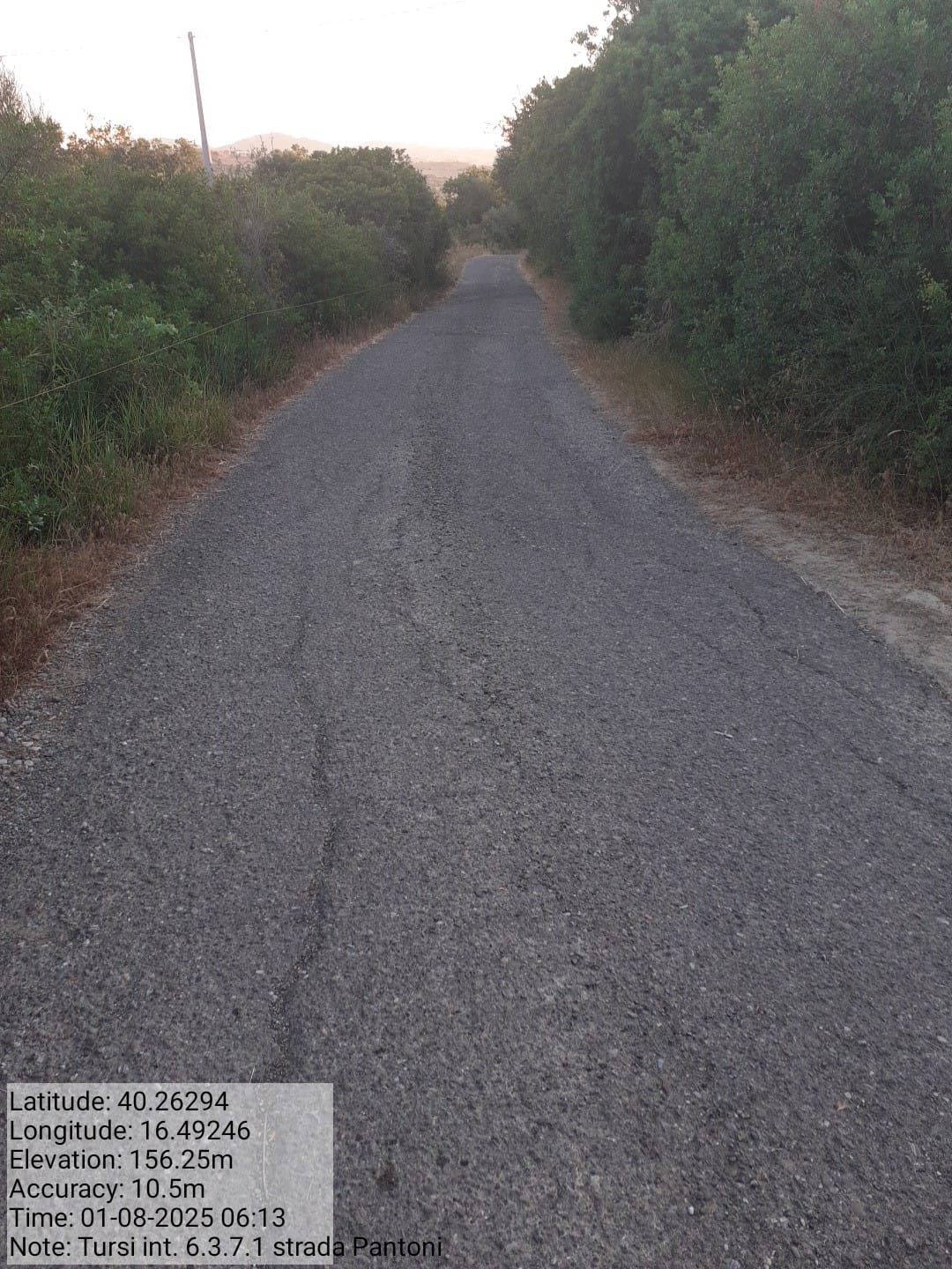 Galleria Fotografica Immagine