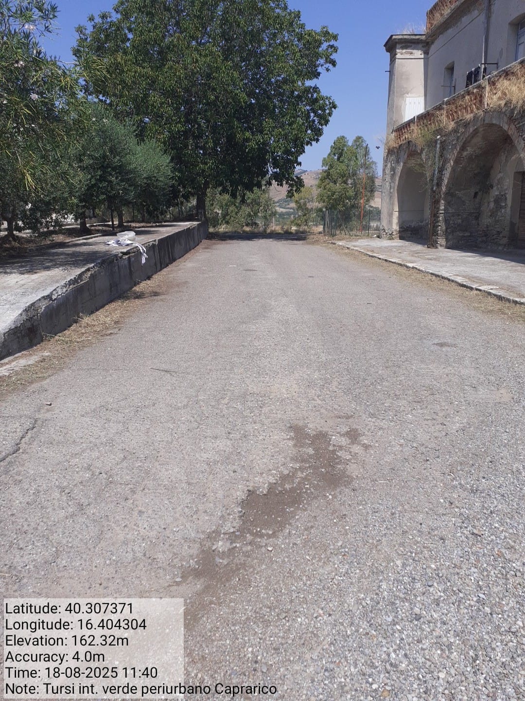 Galleria Fotografica Immagine