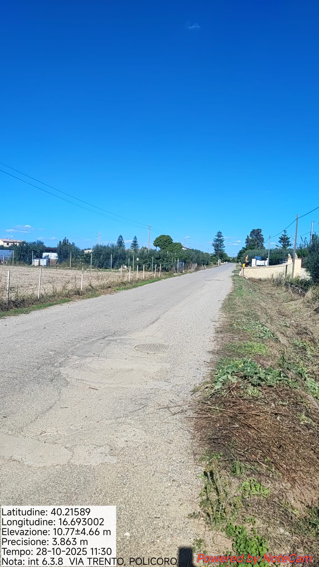 Galleria Fotografica Immagine