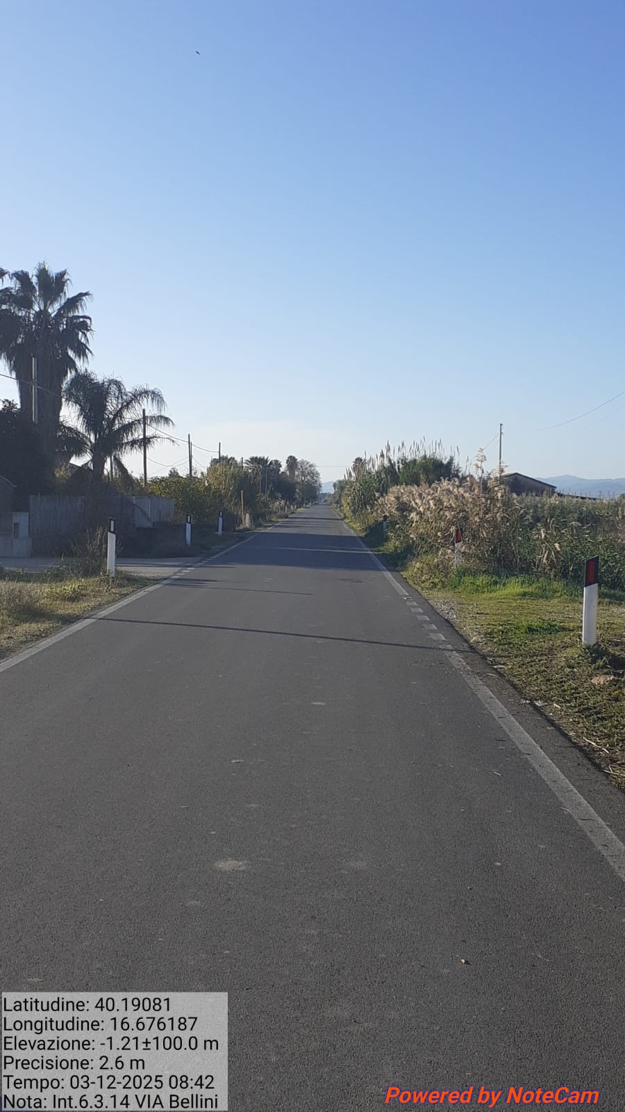 Galleria Fotografica Immagine