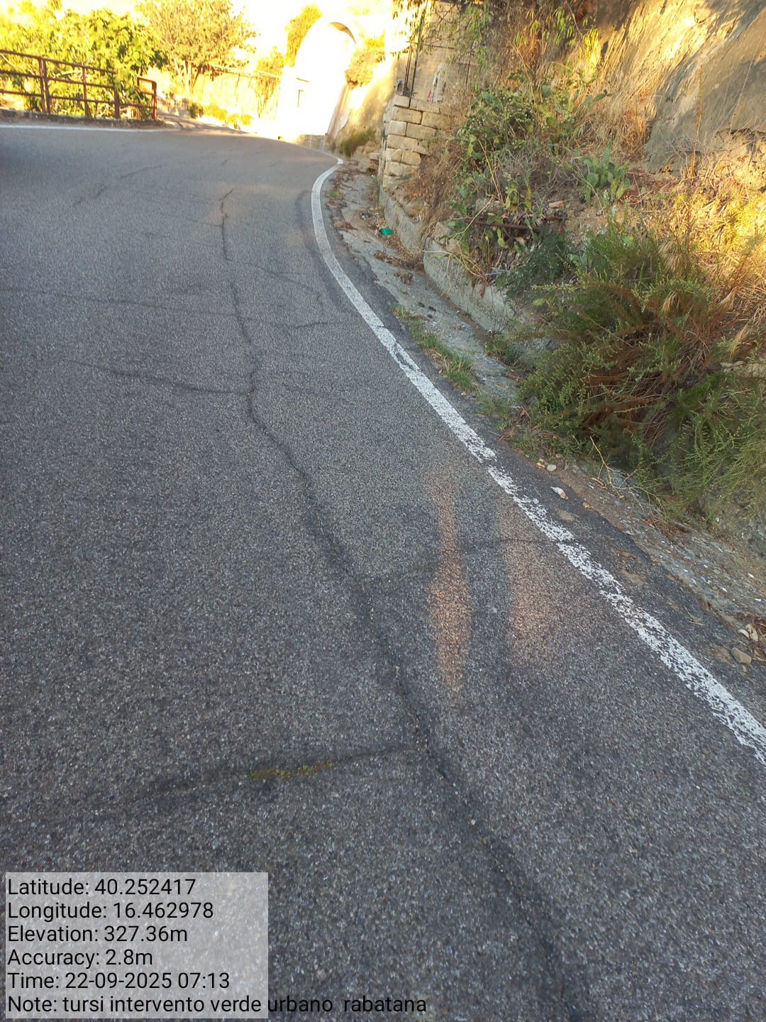 Galleria Fotografica Immagine