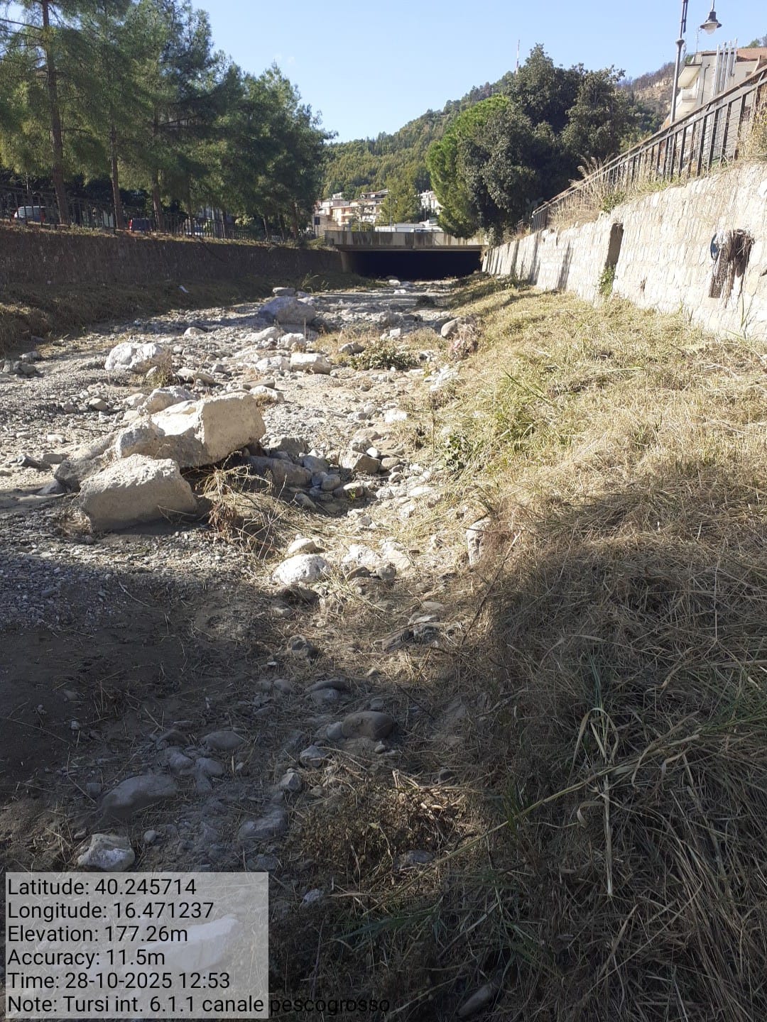 Galleria Fotografica Immagine