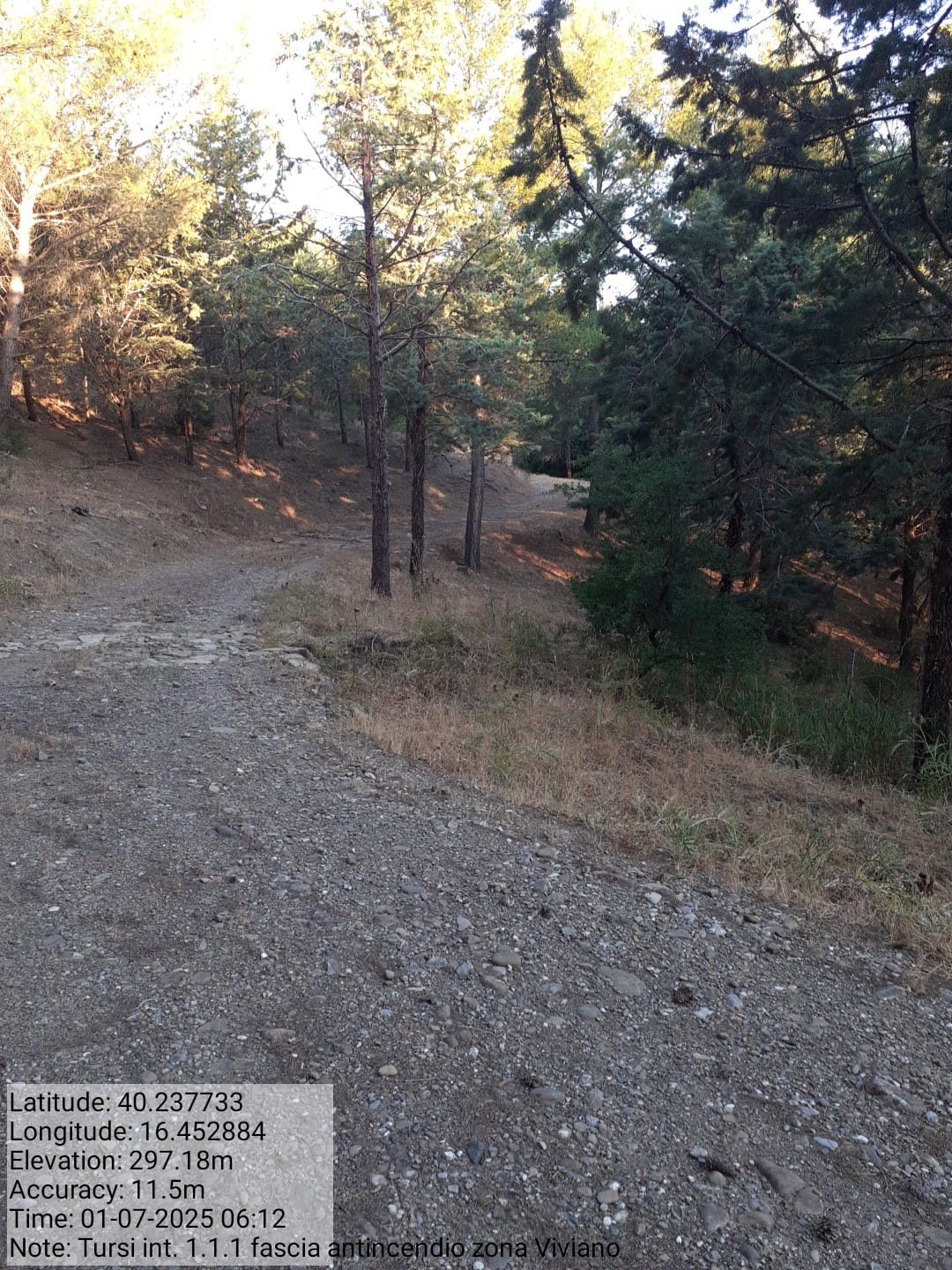 Galleria Fotografica Immagine