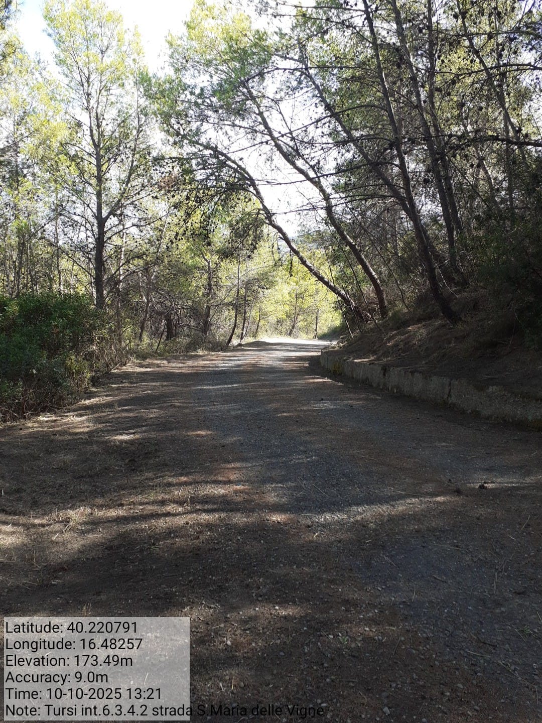 Galleria Fotografica Immagine