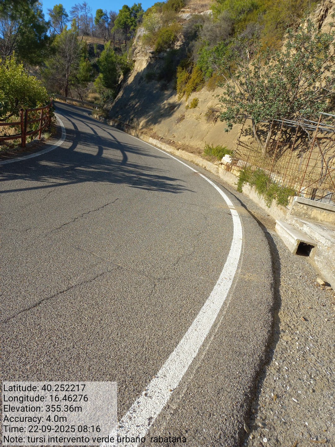 Galleria Fotografica Immagine