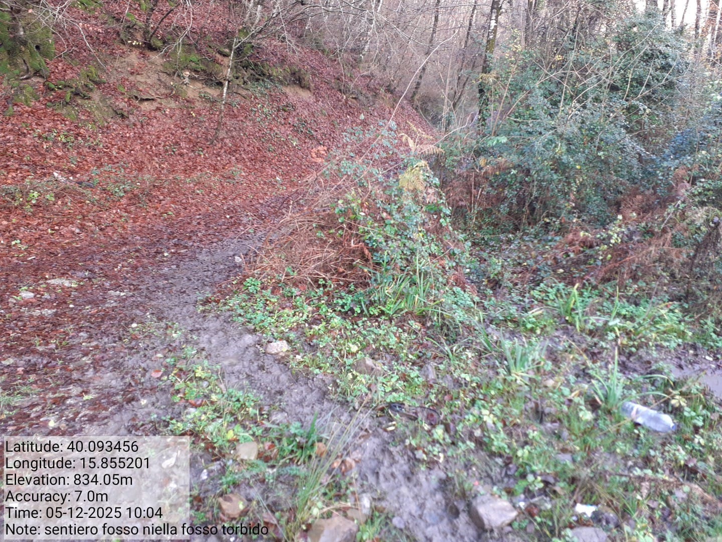 Galleria Fotografica Immagine