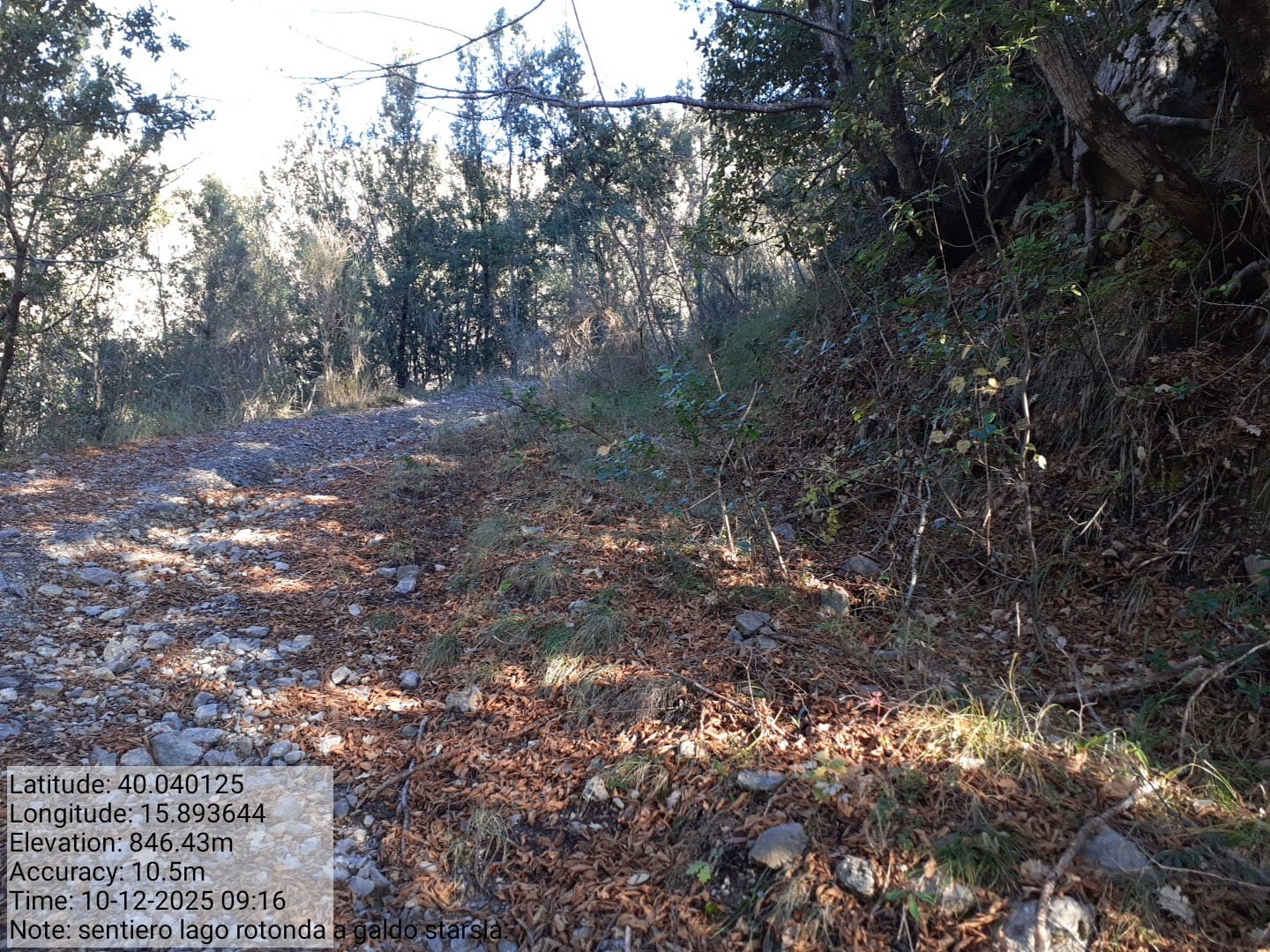 Galleria Fotografica Immagine