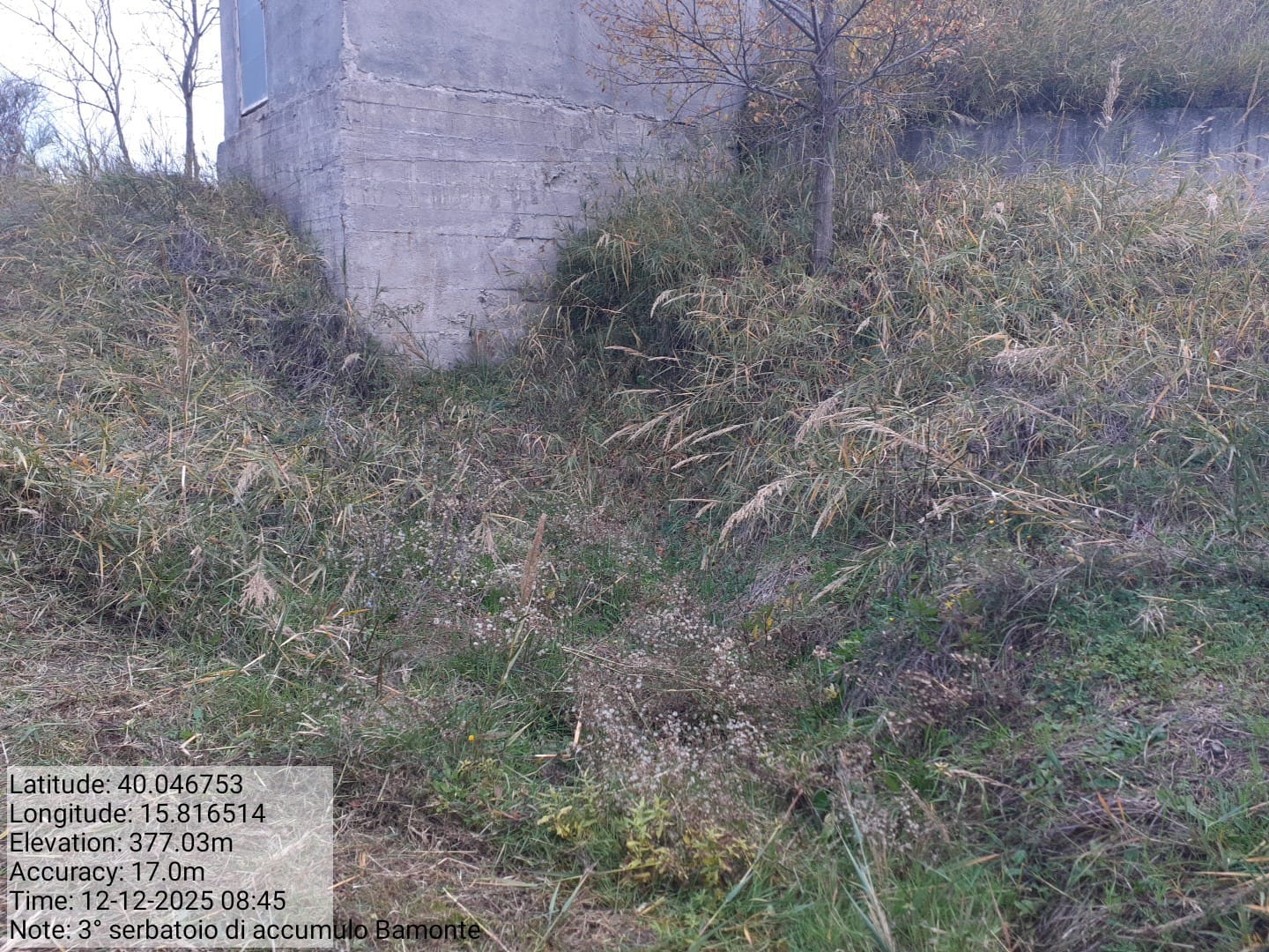 Galleria Fotografica Immagine