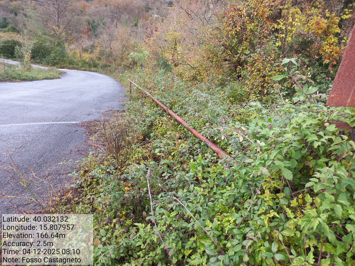 Galleria Fotografica Immagine