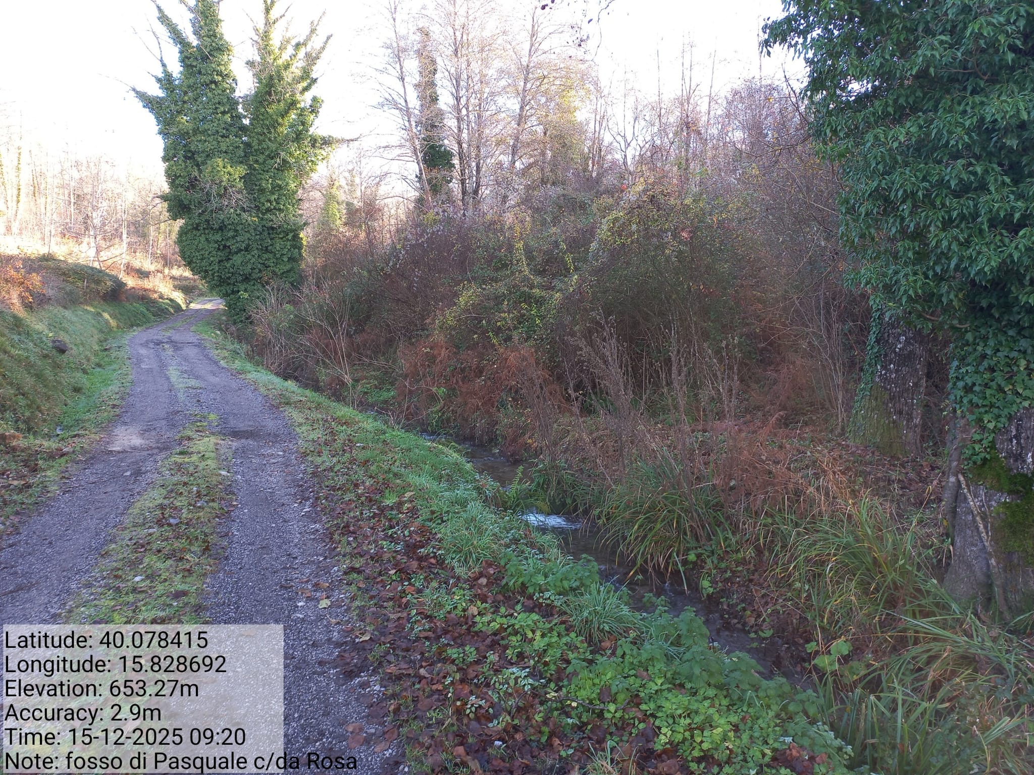 Galleria Fotografica Immagine