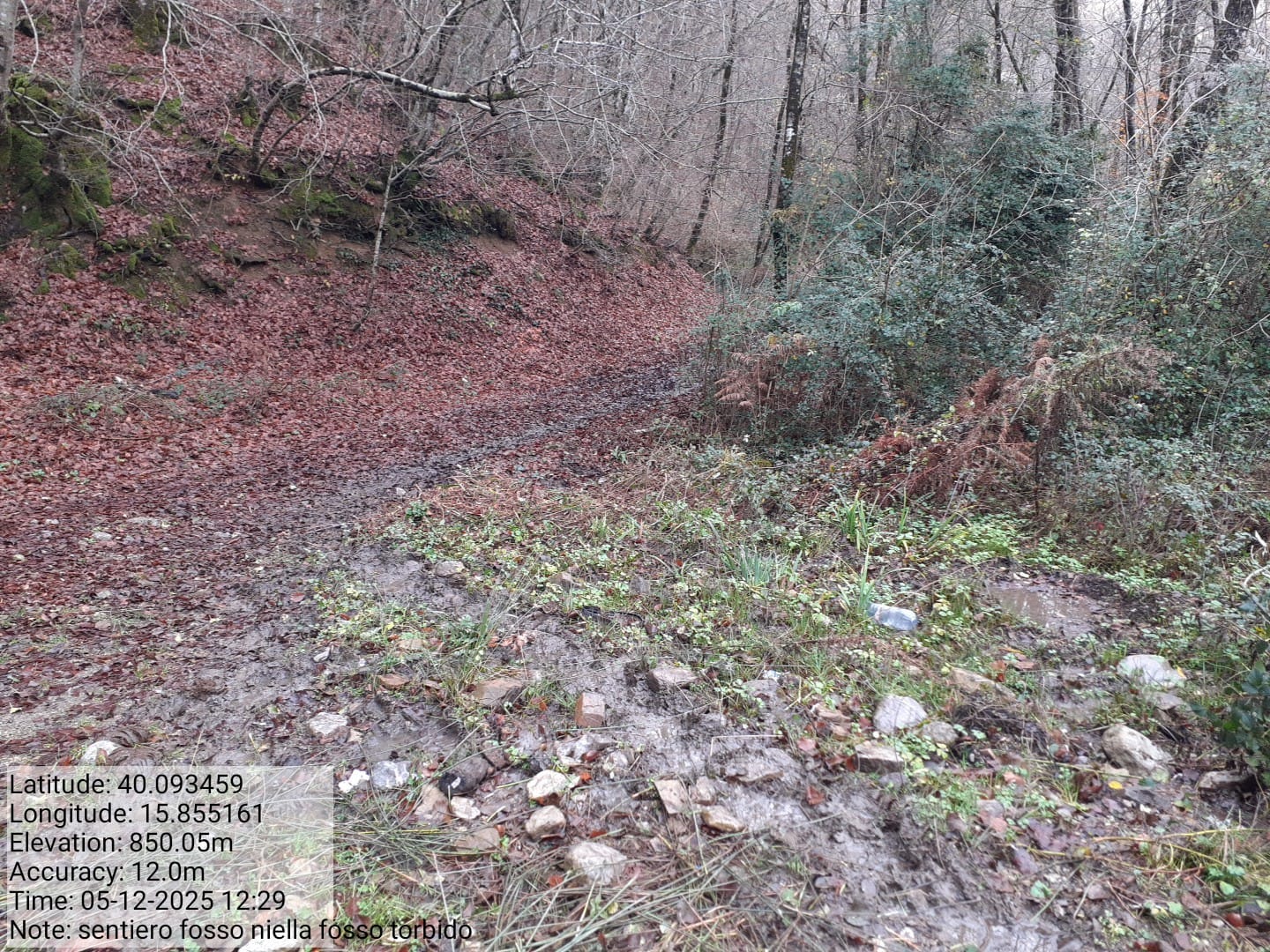 Galleria Fotografica Immagine