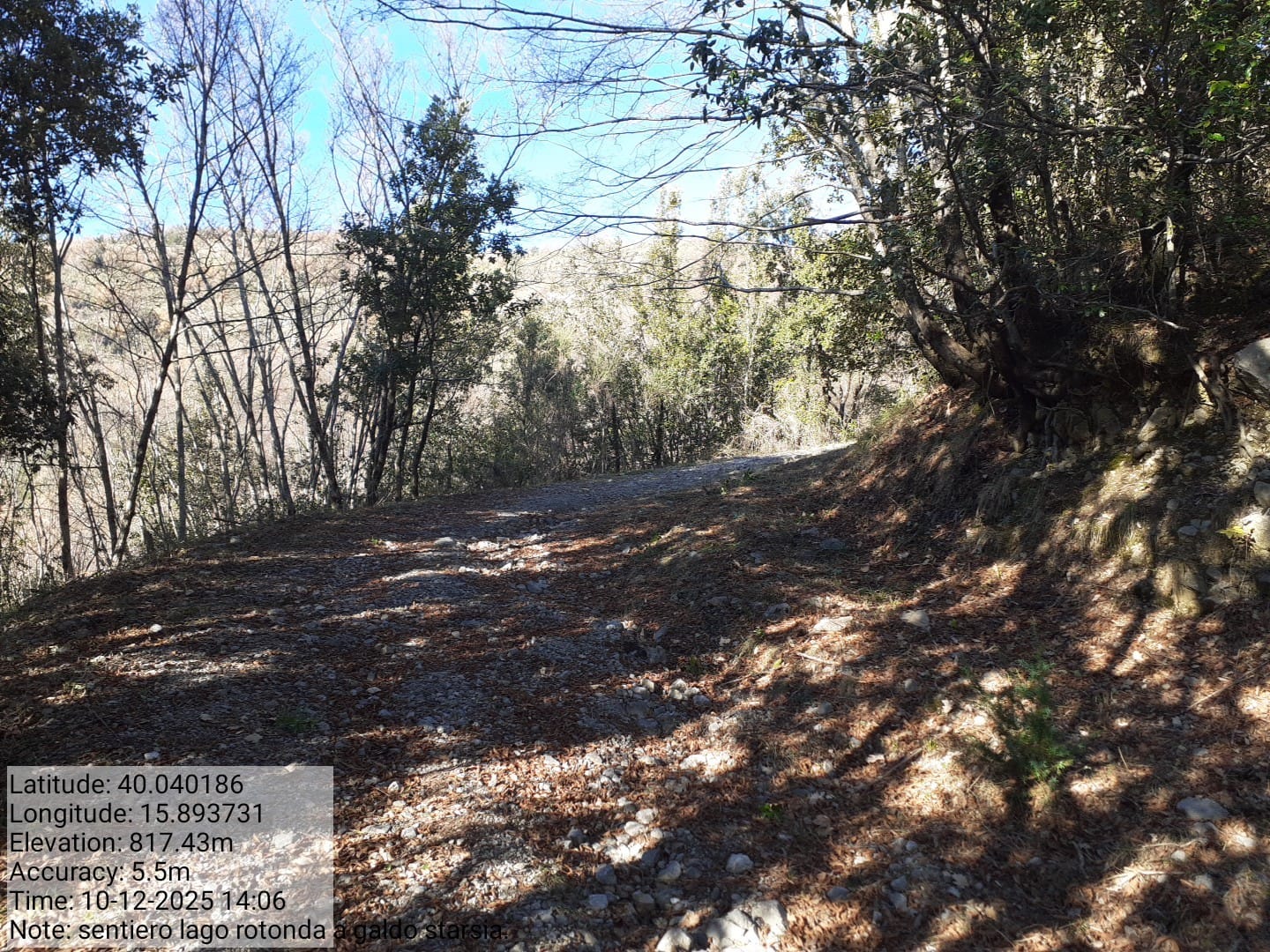 Galleria Fotografica Immagine