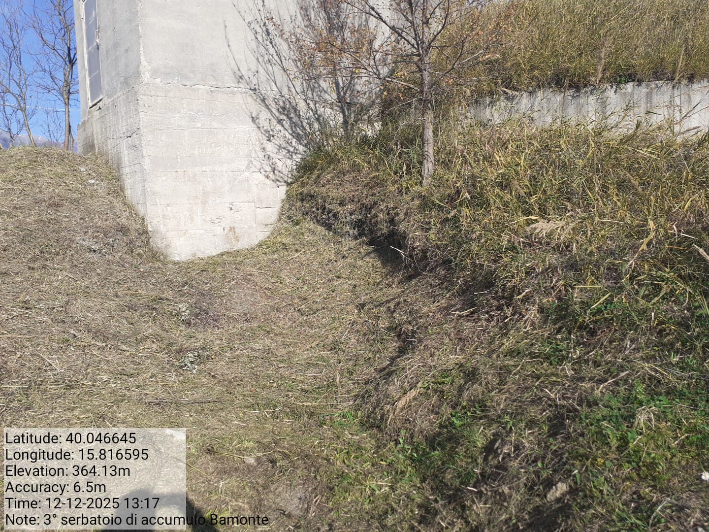 Galleria Fotografica Immagine