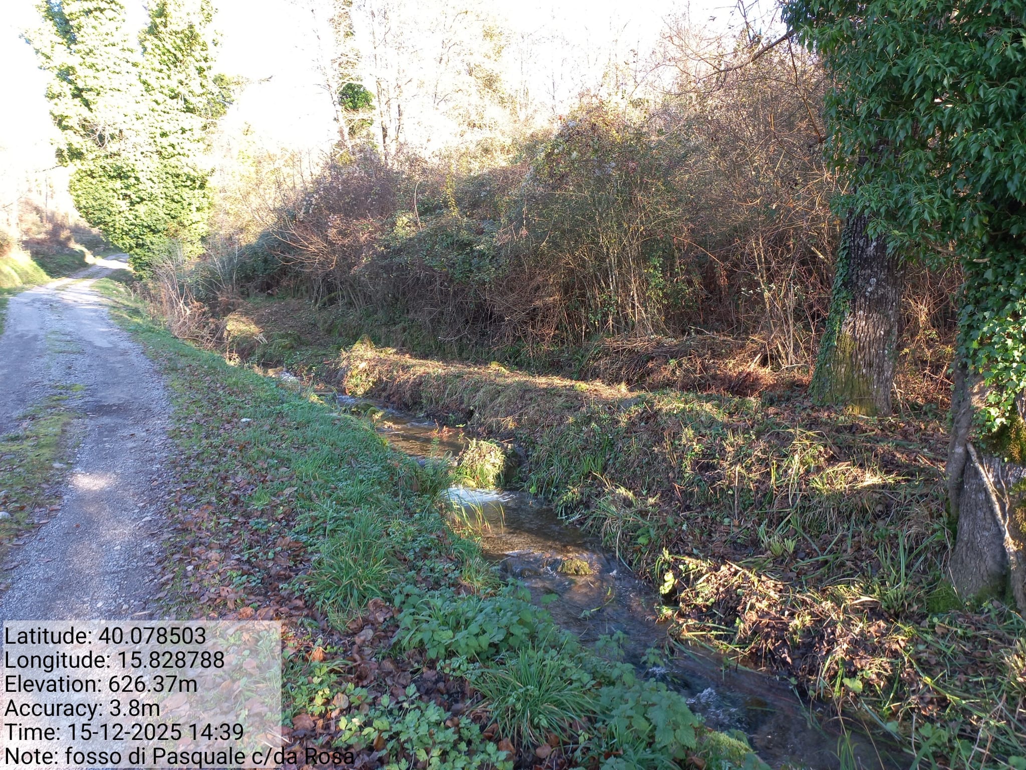 Galleria Fotografica Immagine