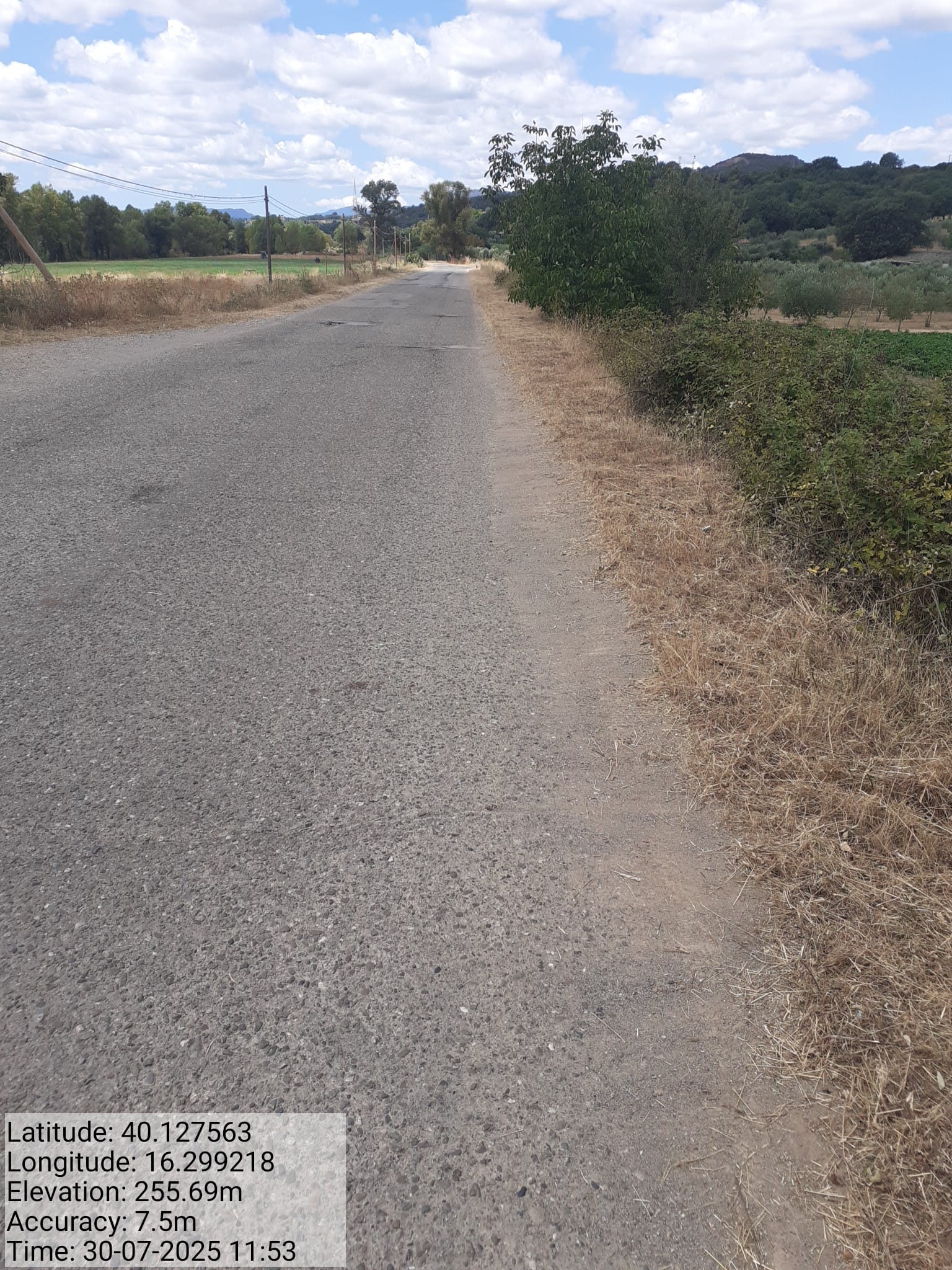 Galleria Fotografica Immagine