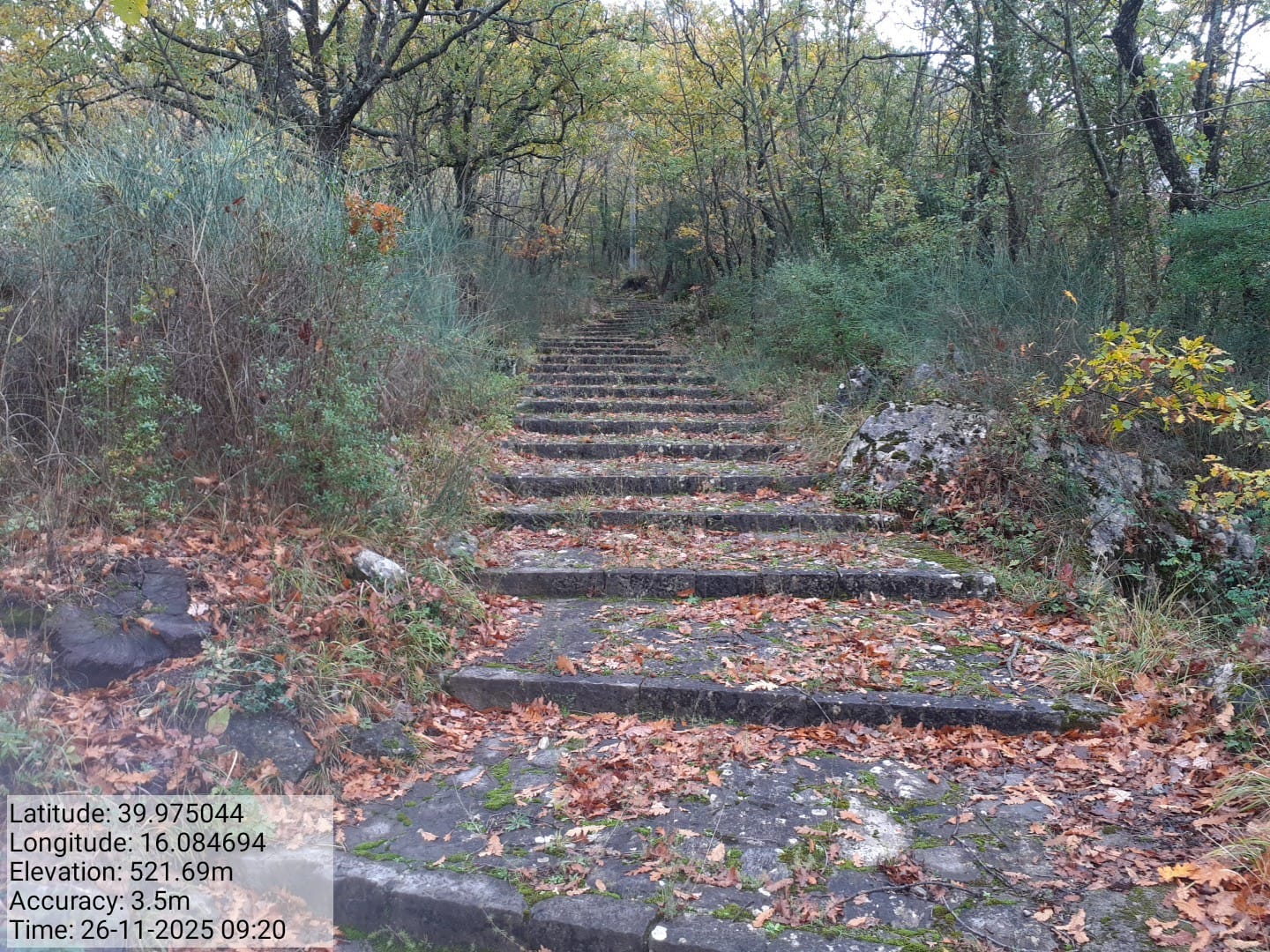 Galleria Fotografica Immagine