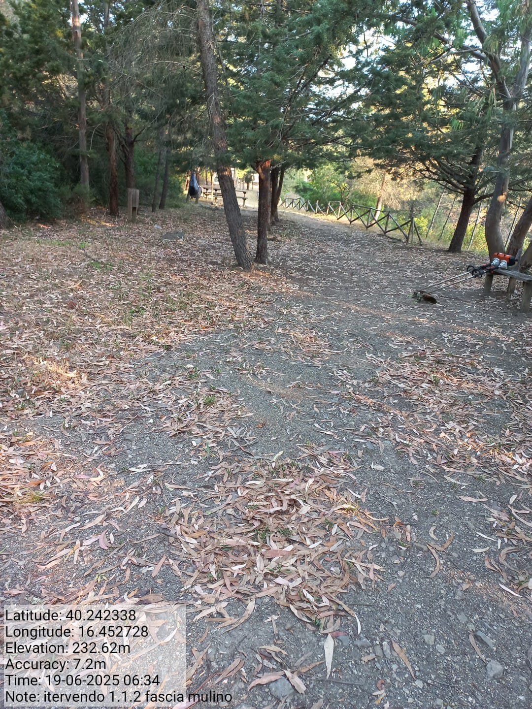 Galleria Fotografica Immagine