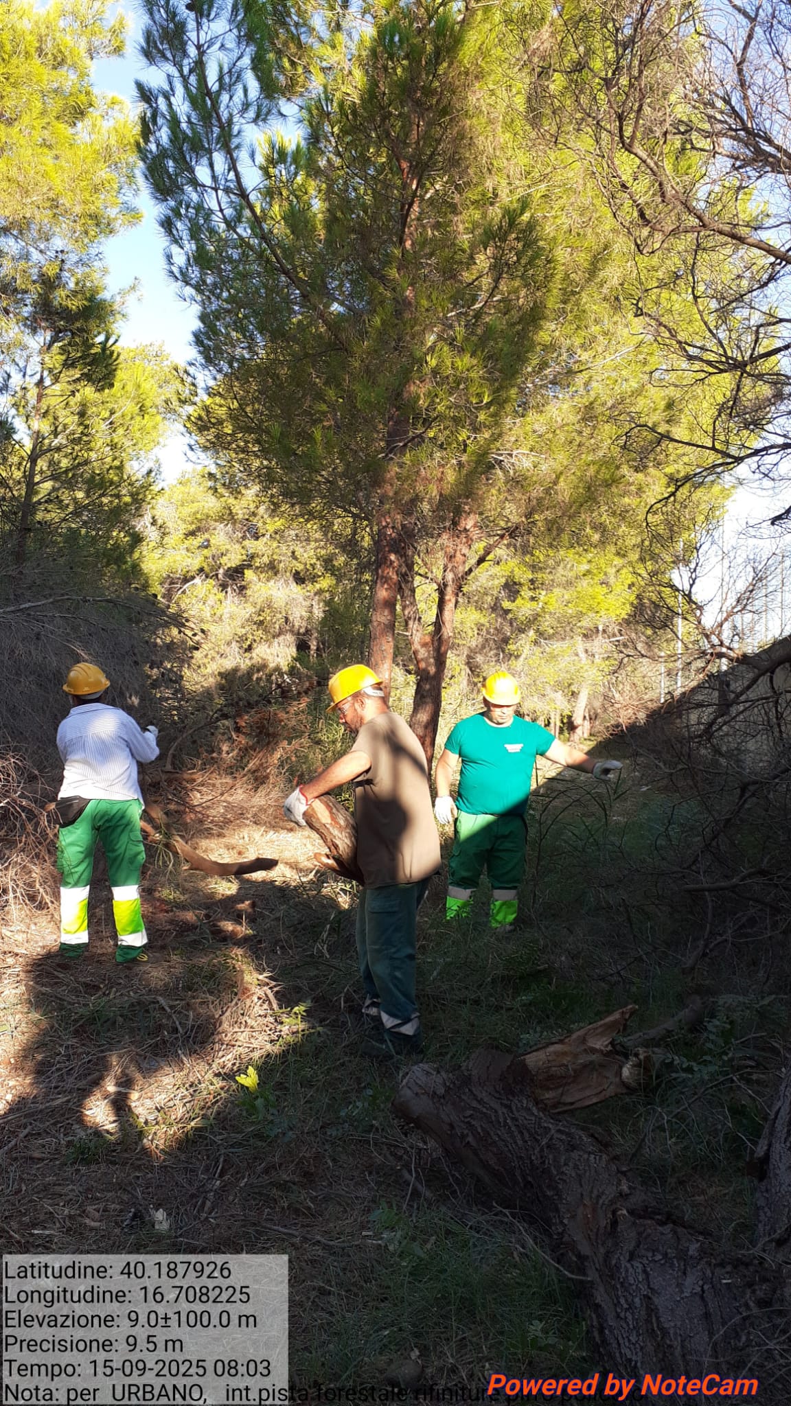 Galleria Fotografica Immagine