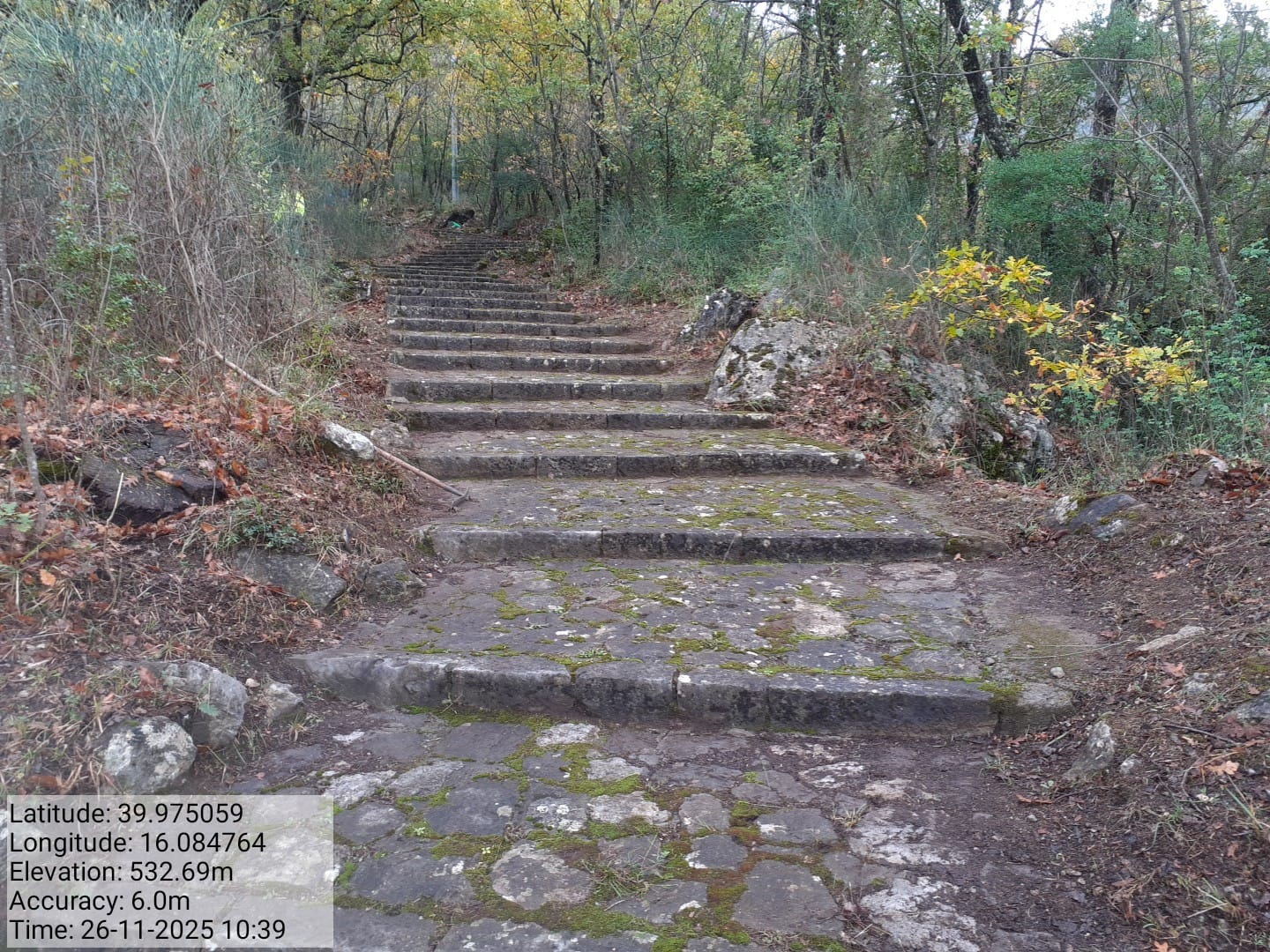 Galleria Fotografica Immagine