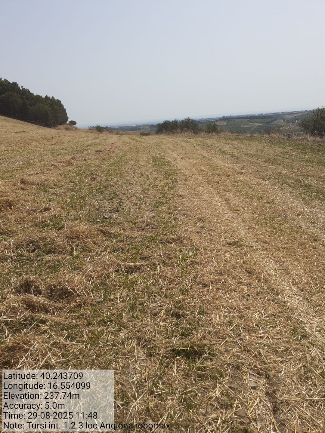 Galleria Fotografica Immagine